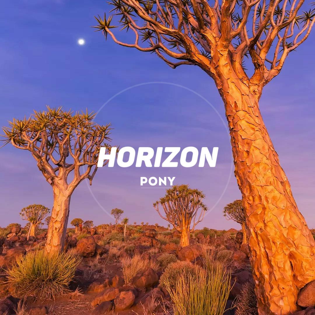 Horizon