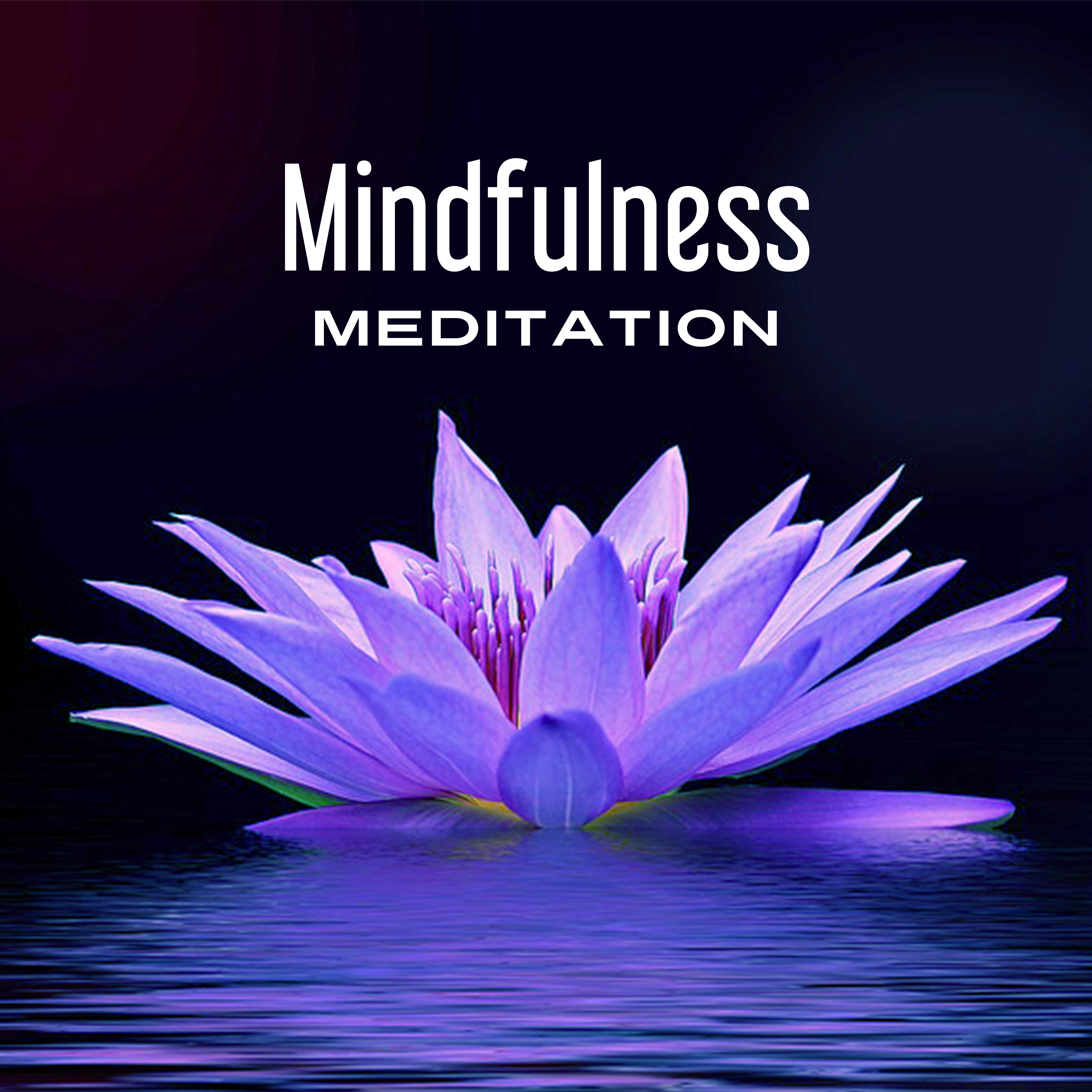 Mindfulness Meditation  Nature Sounds, Relaxed Body  Mind, Keep Focus, Meditation, Relaxation Spa
