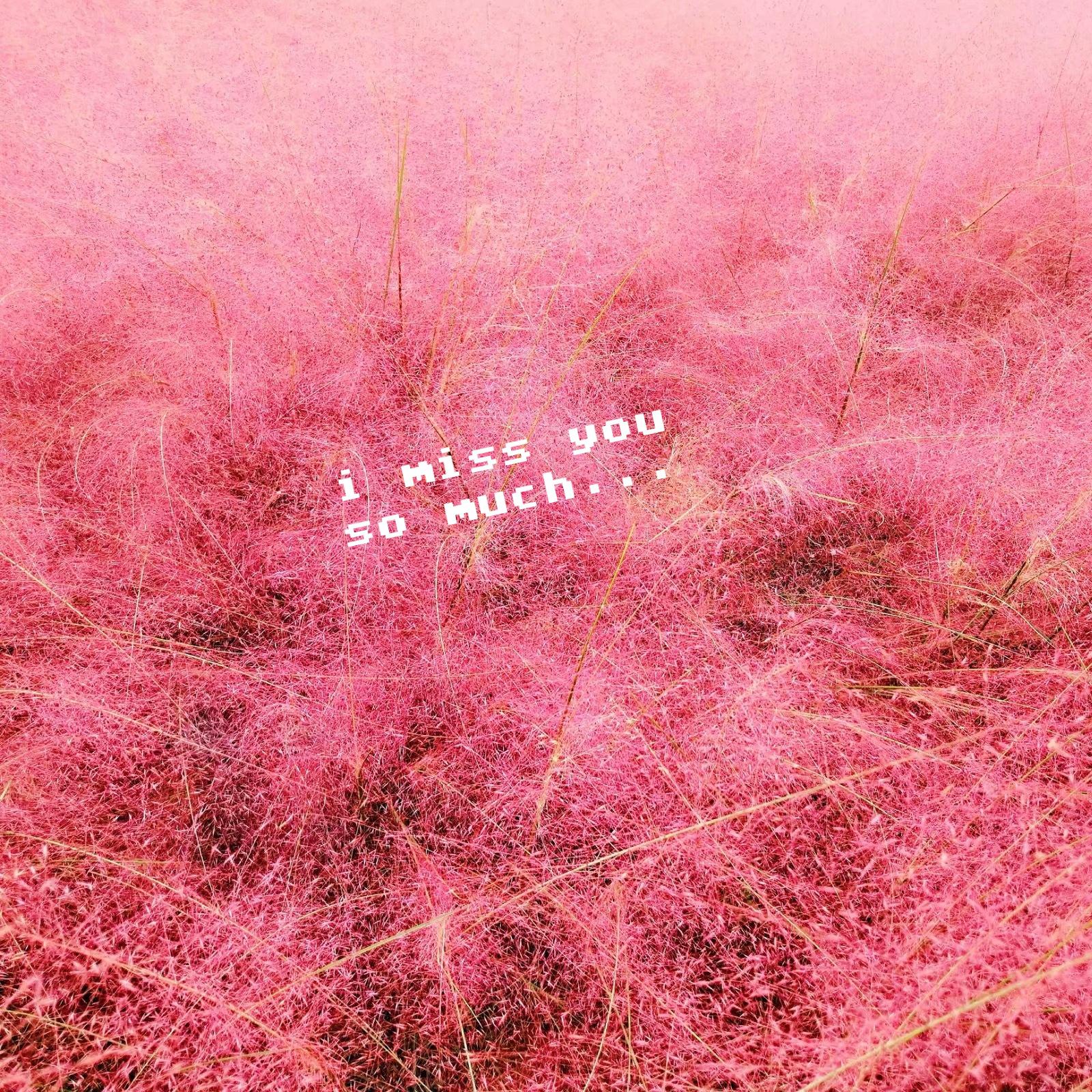 wo hen xiang ni neng ting jian ma