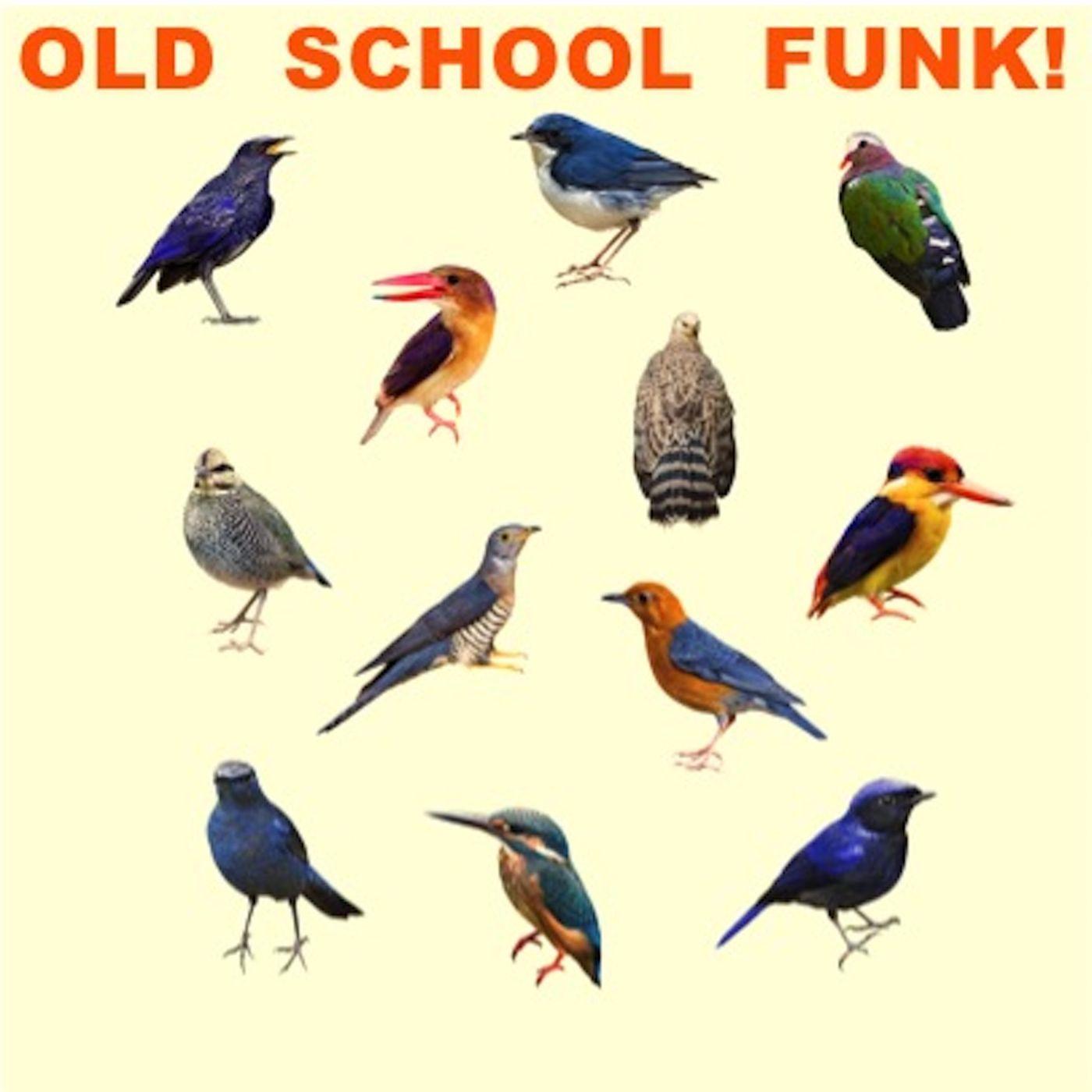 Old School Funk!