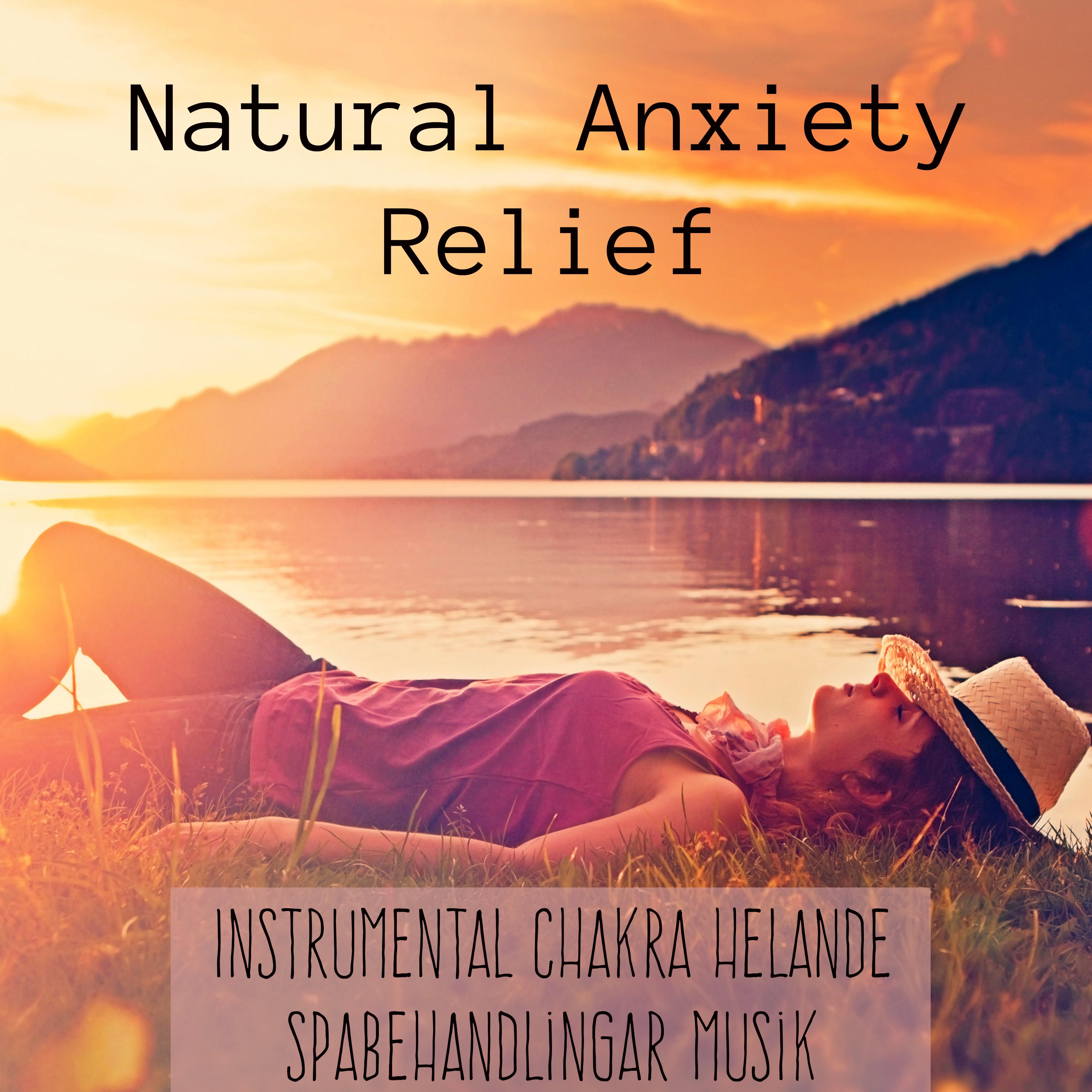 Natural Anxiety Relief  Instrumental Chakra Helande Spabehandlingar Musik f r Djup Meditation Yogateknik S mncykel och Massage Terapi