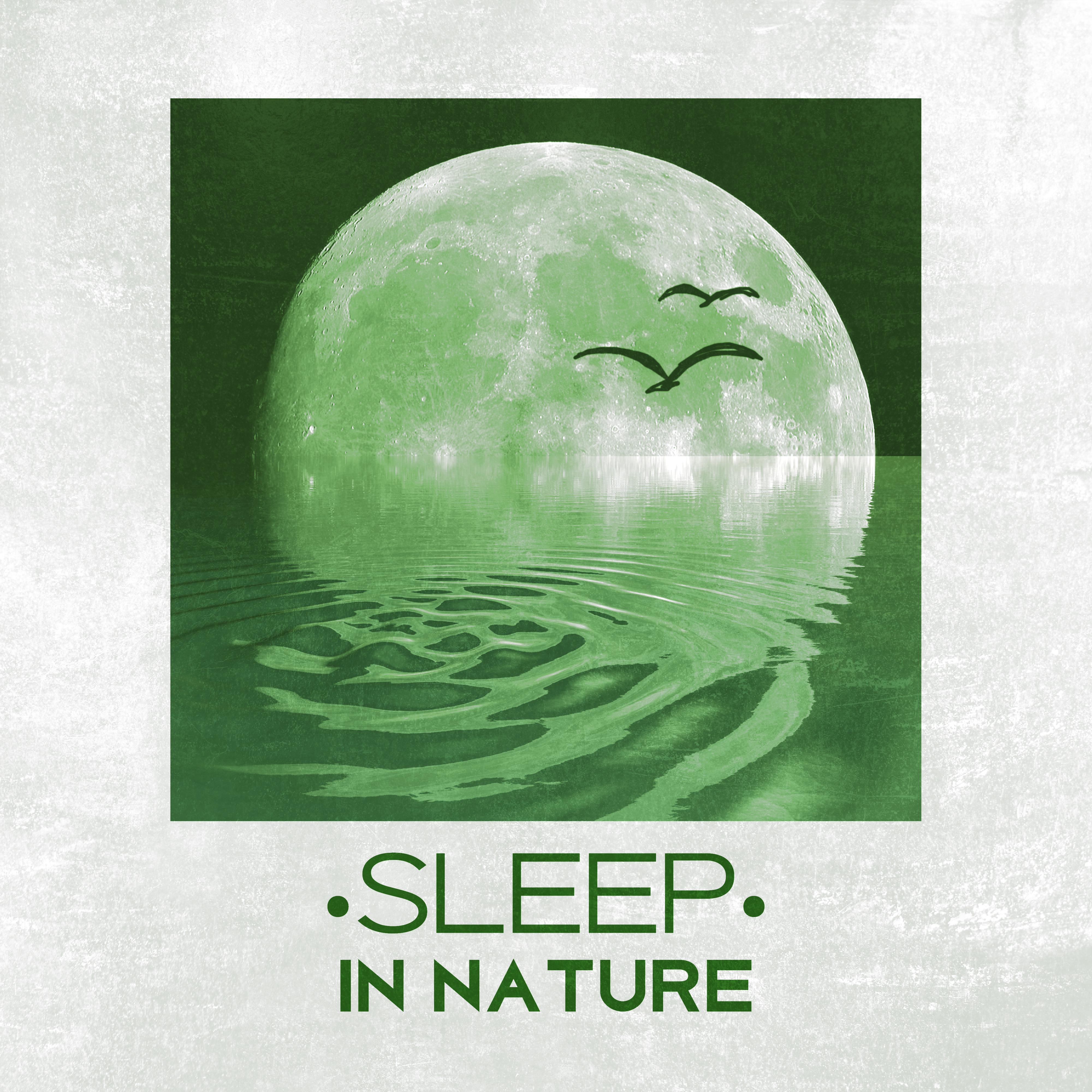 Sleep in Nature - Peaceful Sounds of Nature for Sleep, Easily Fall Asleep, Relax, Restful Sleep