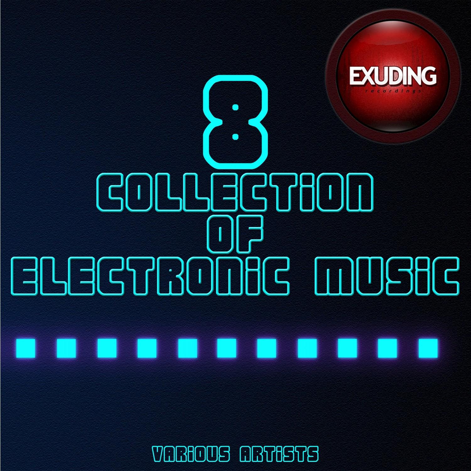 Collection of Electronic Music, Vol. 8