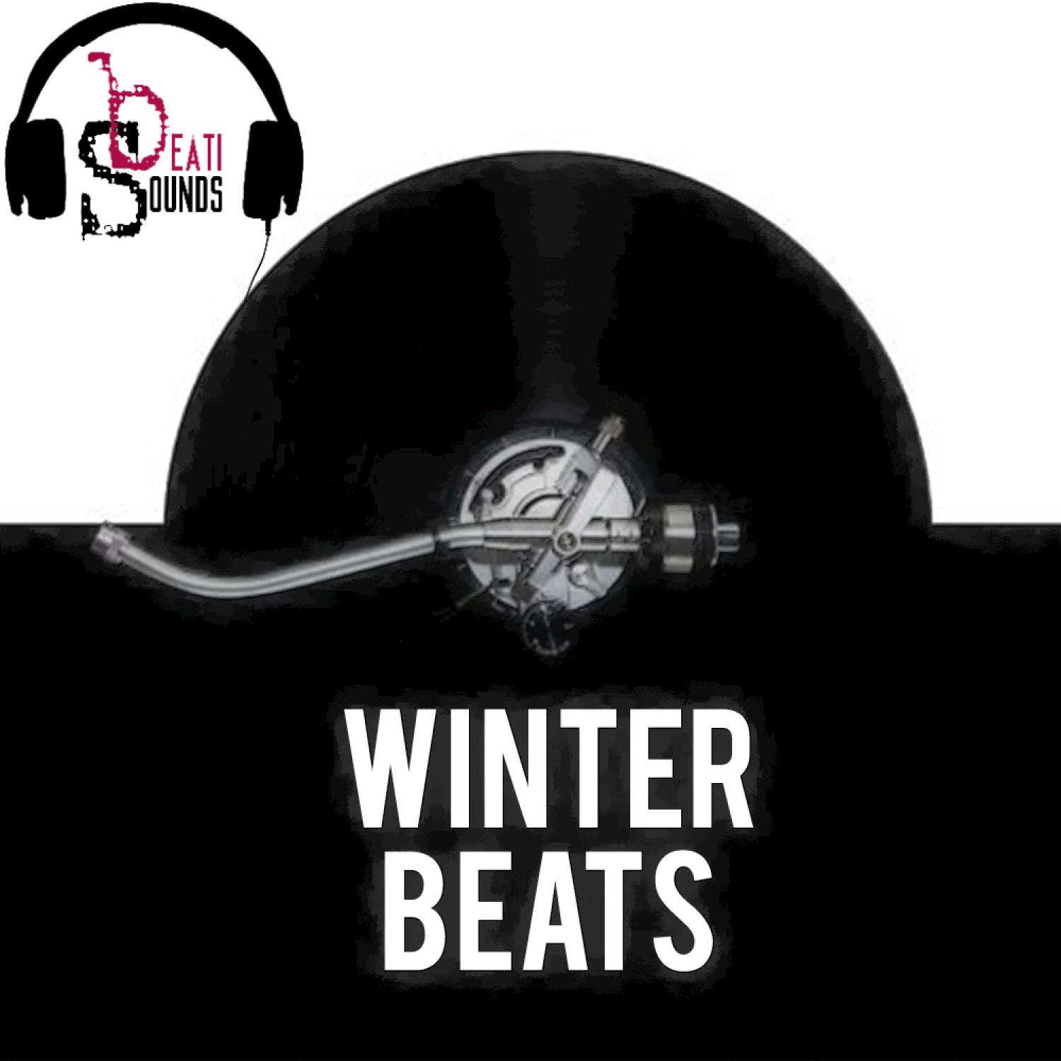 Winter Beats (Radio Edit)