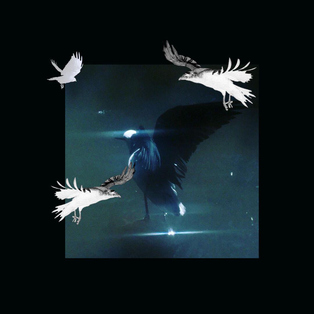 yan sheng shi wu suo