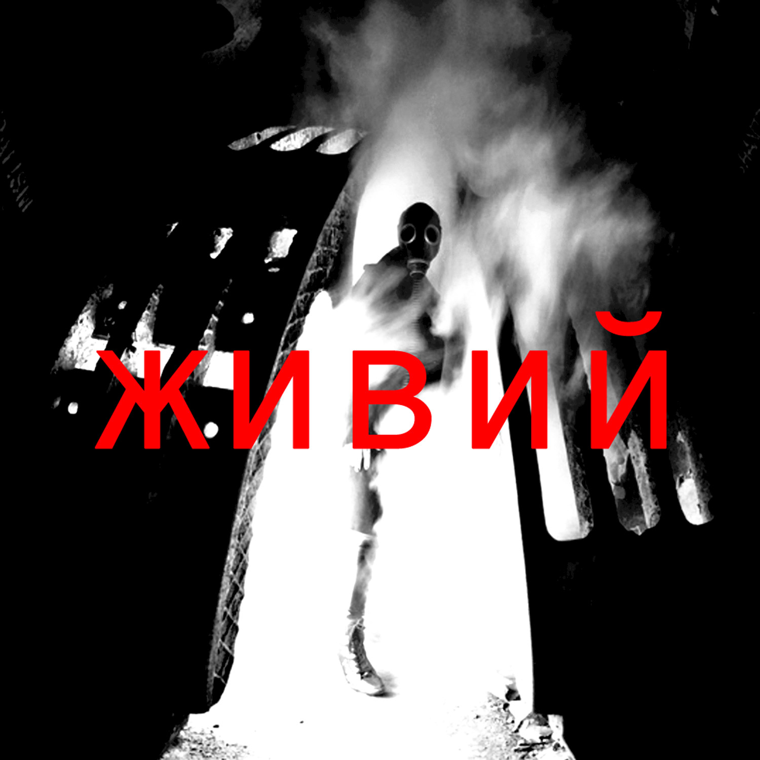 Vid Album Launch Party