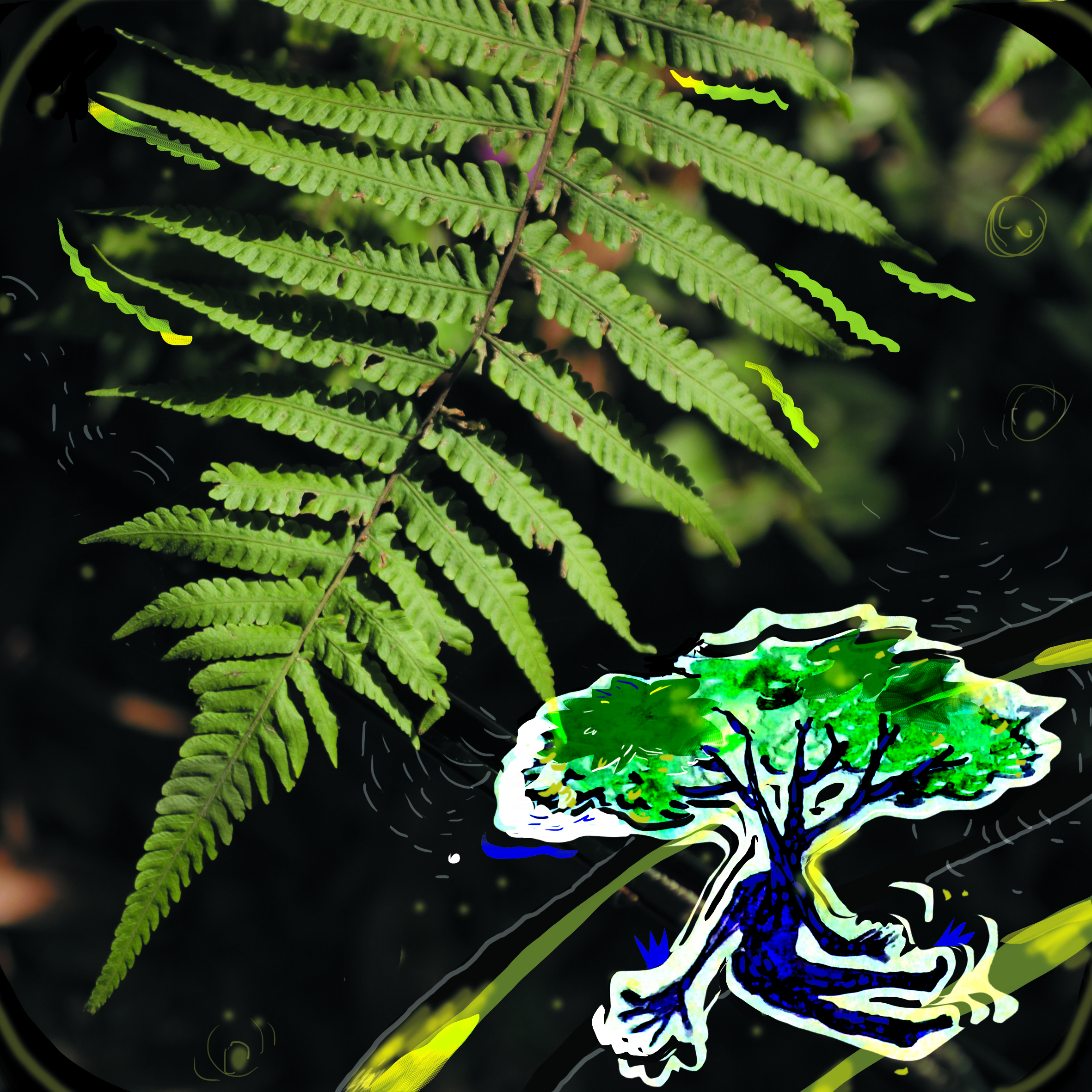 Sonido Natural (Solo)