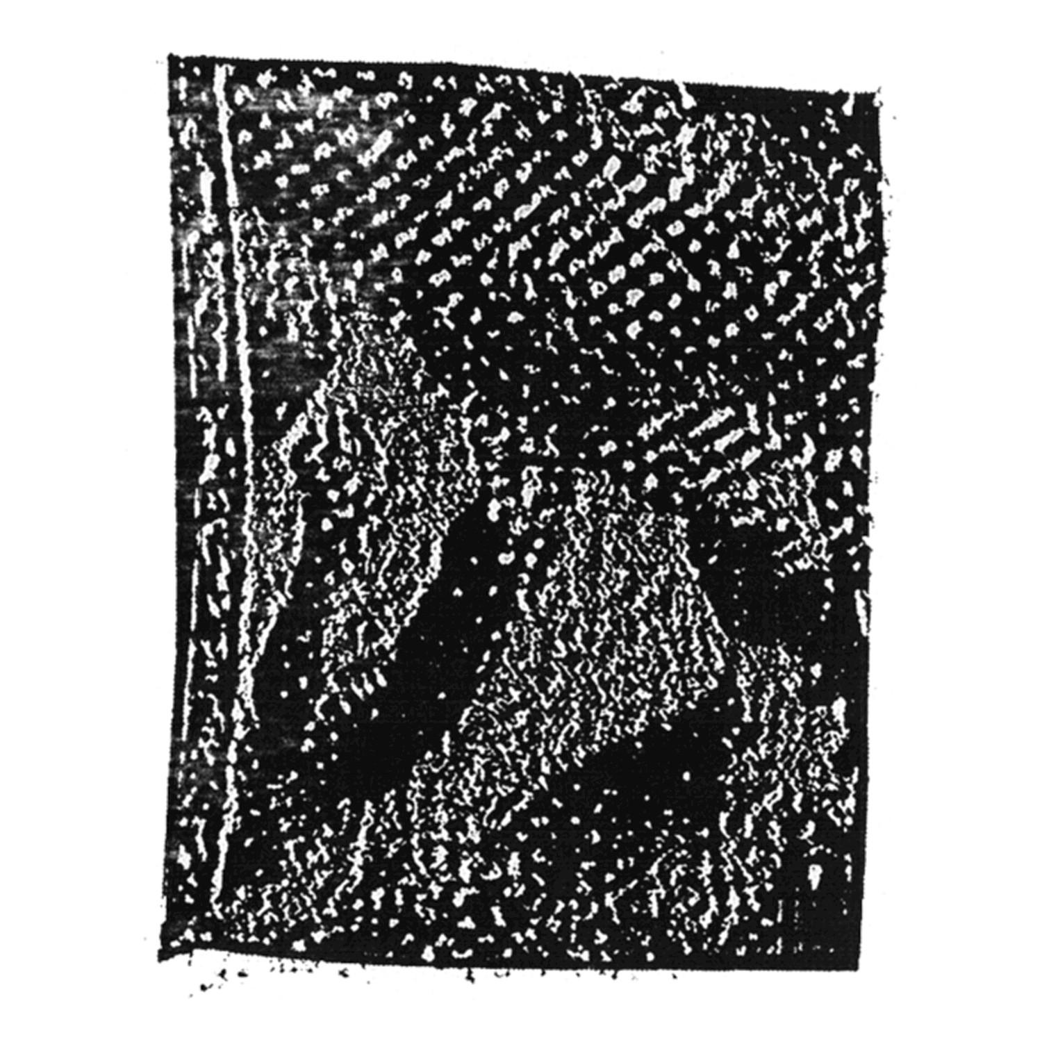 Genocide of the Mind