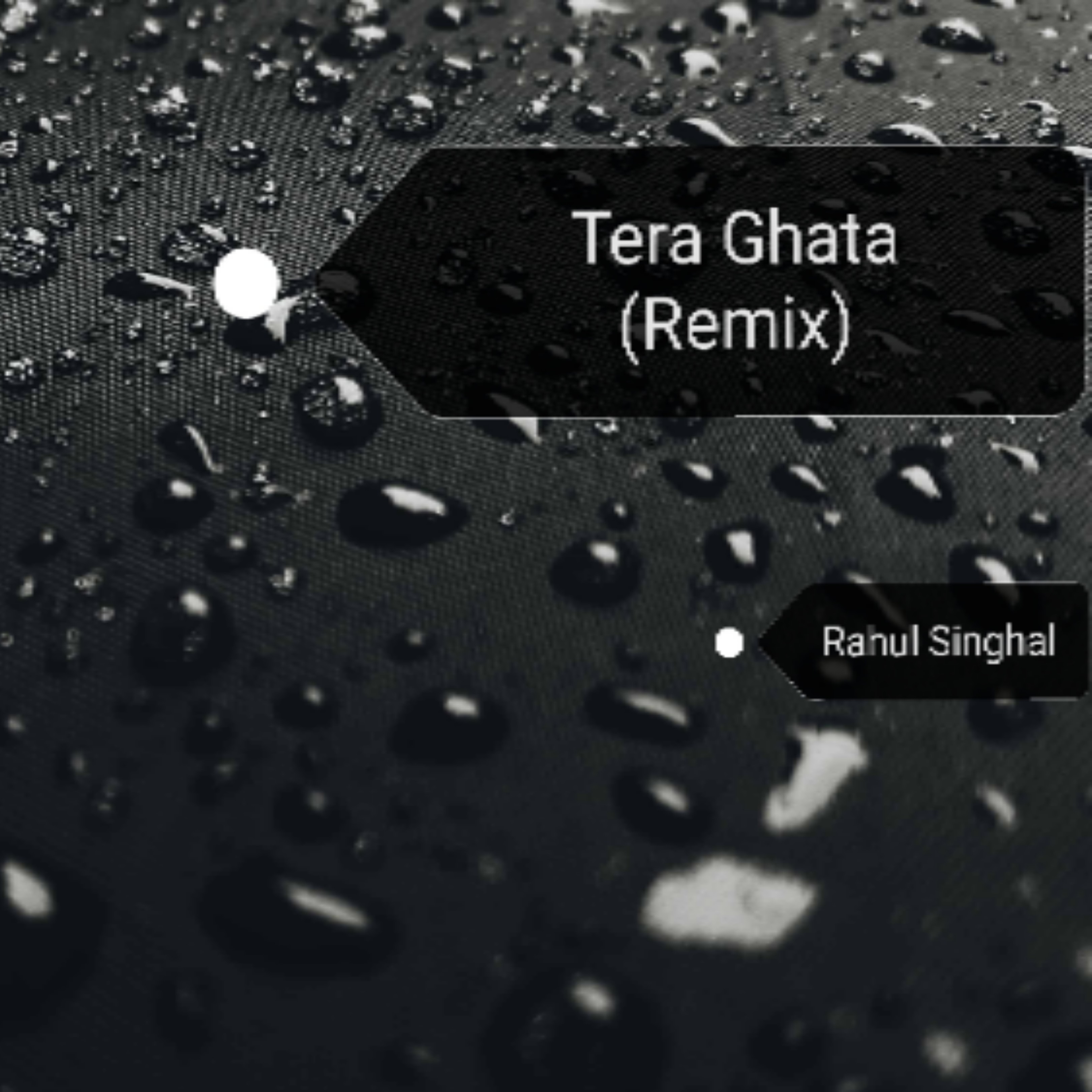 Tera Ghata (Remix)