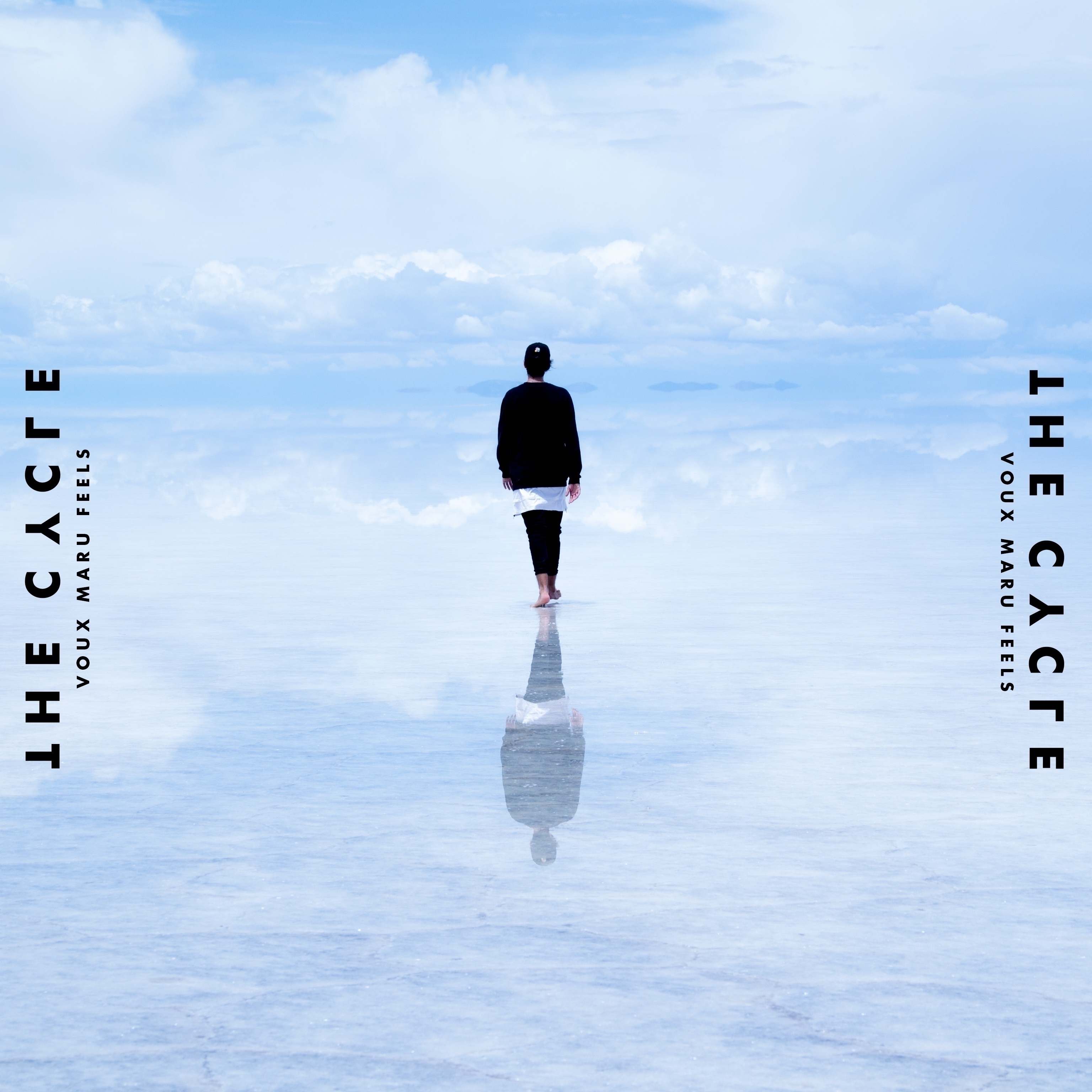 The Cycle (feat. Maru, Feels)