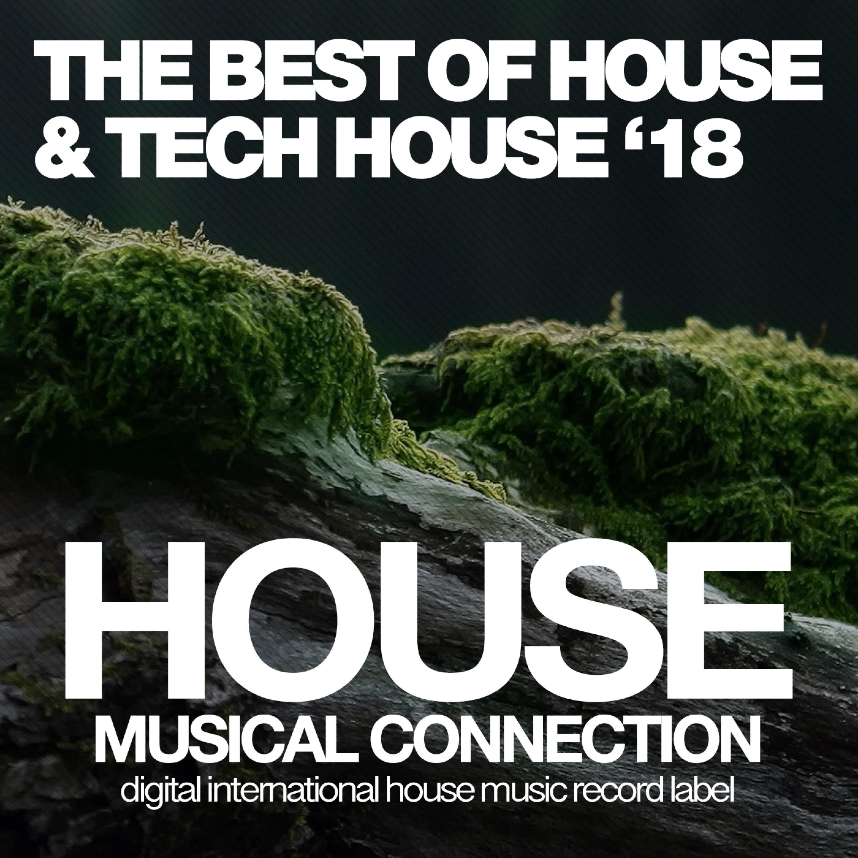 The Best of House & Tech House '18