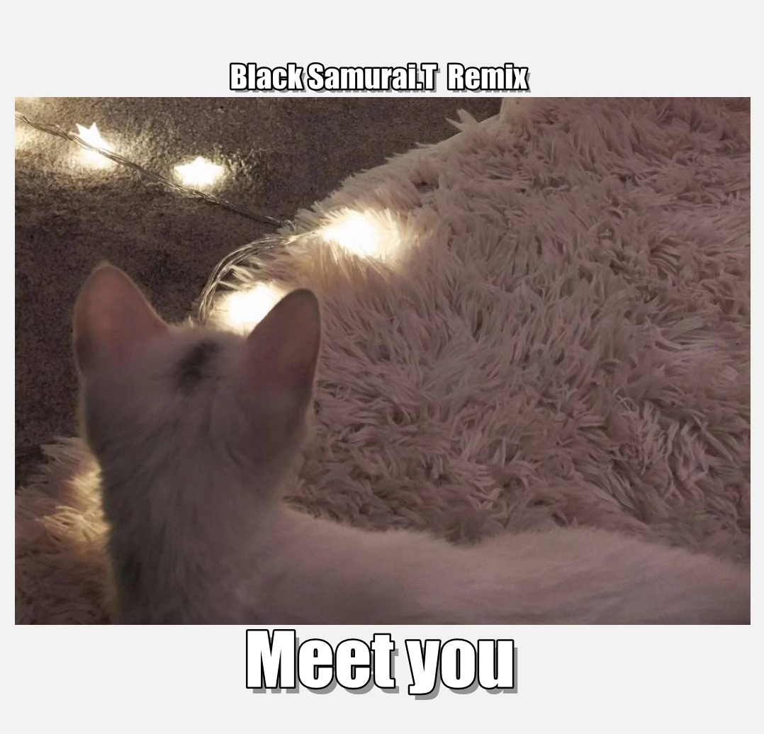 Meet You Black Samurai. T Remix
