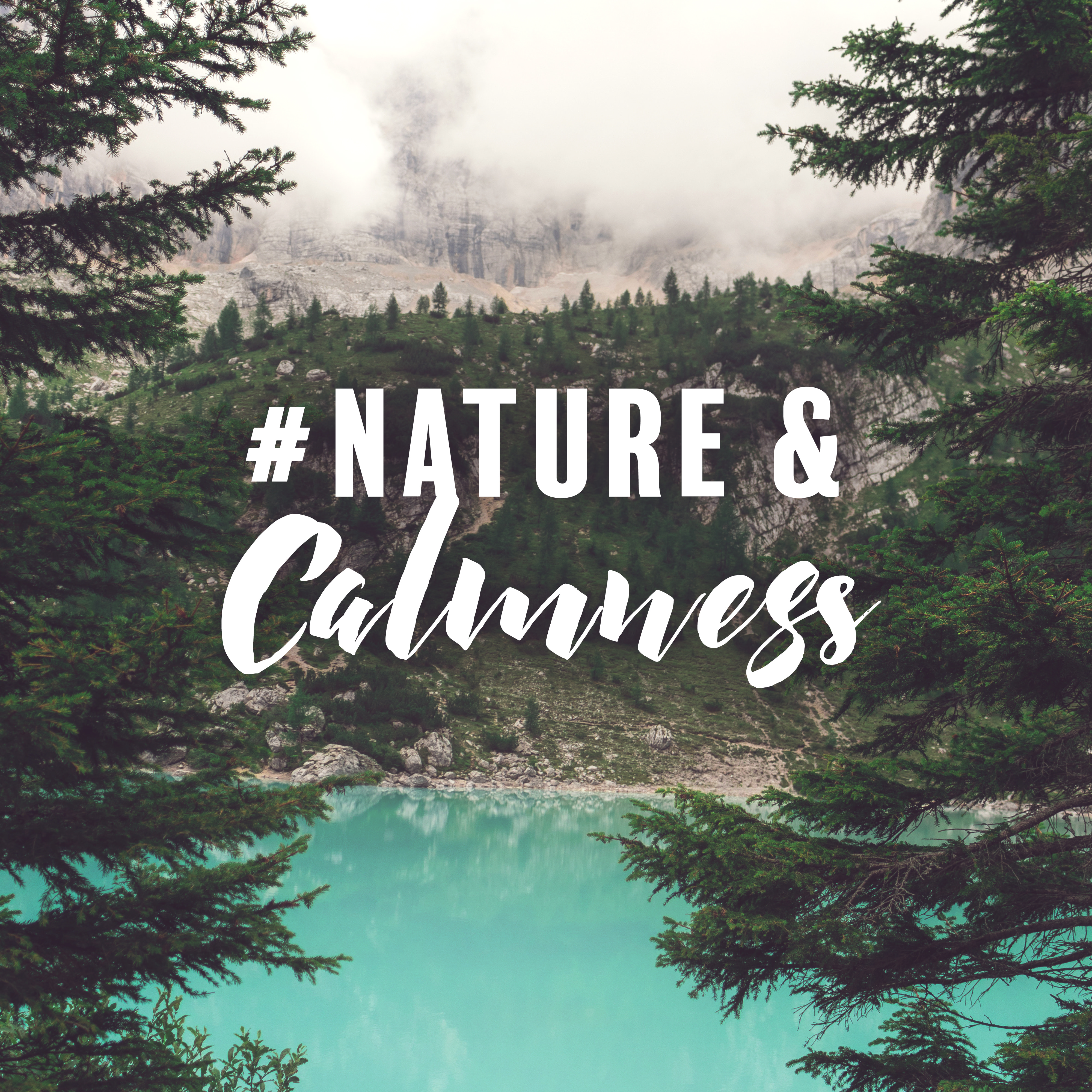 #Nature & Calmness