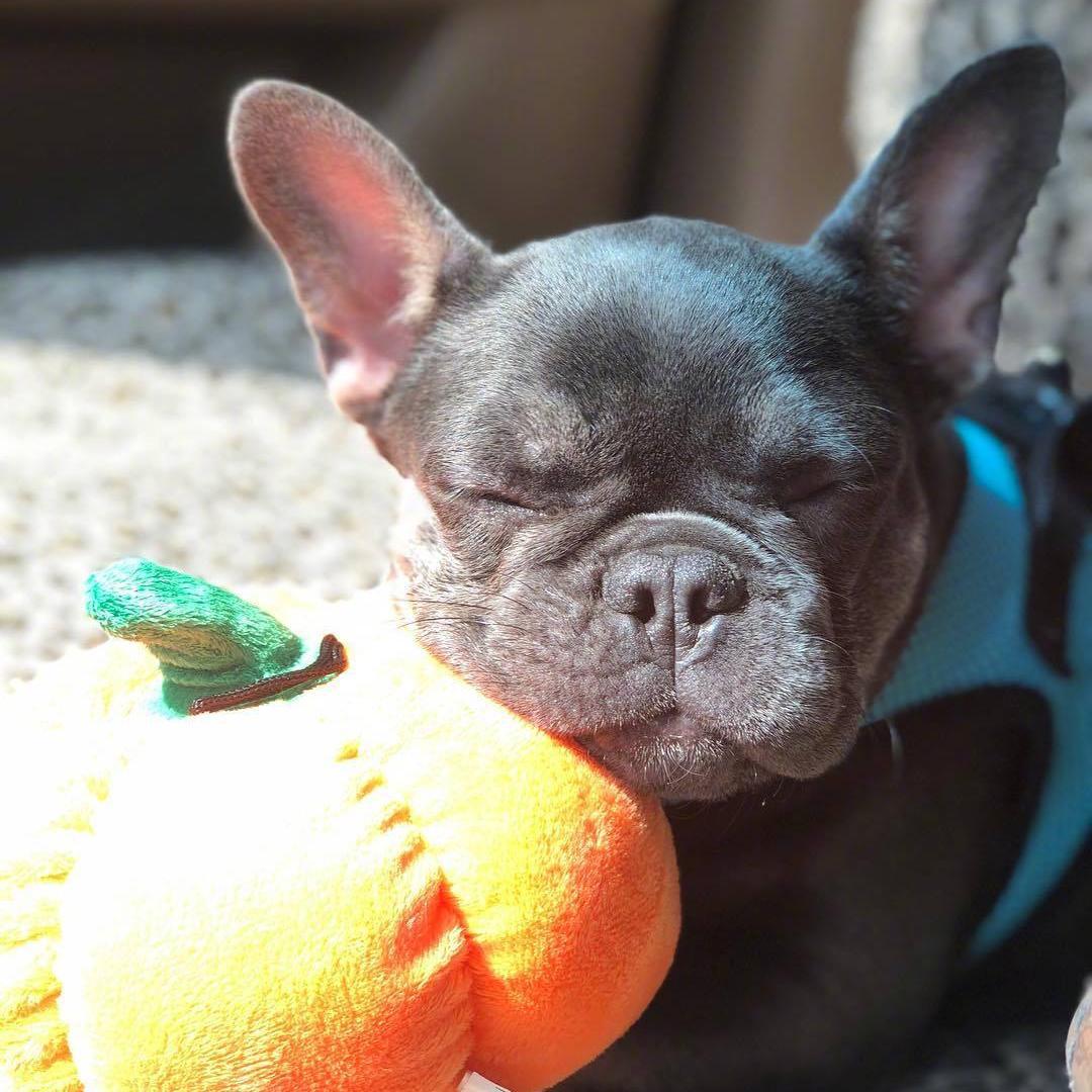 dian dong huo che huo che qi dong