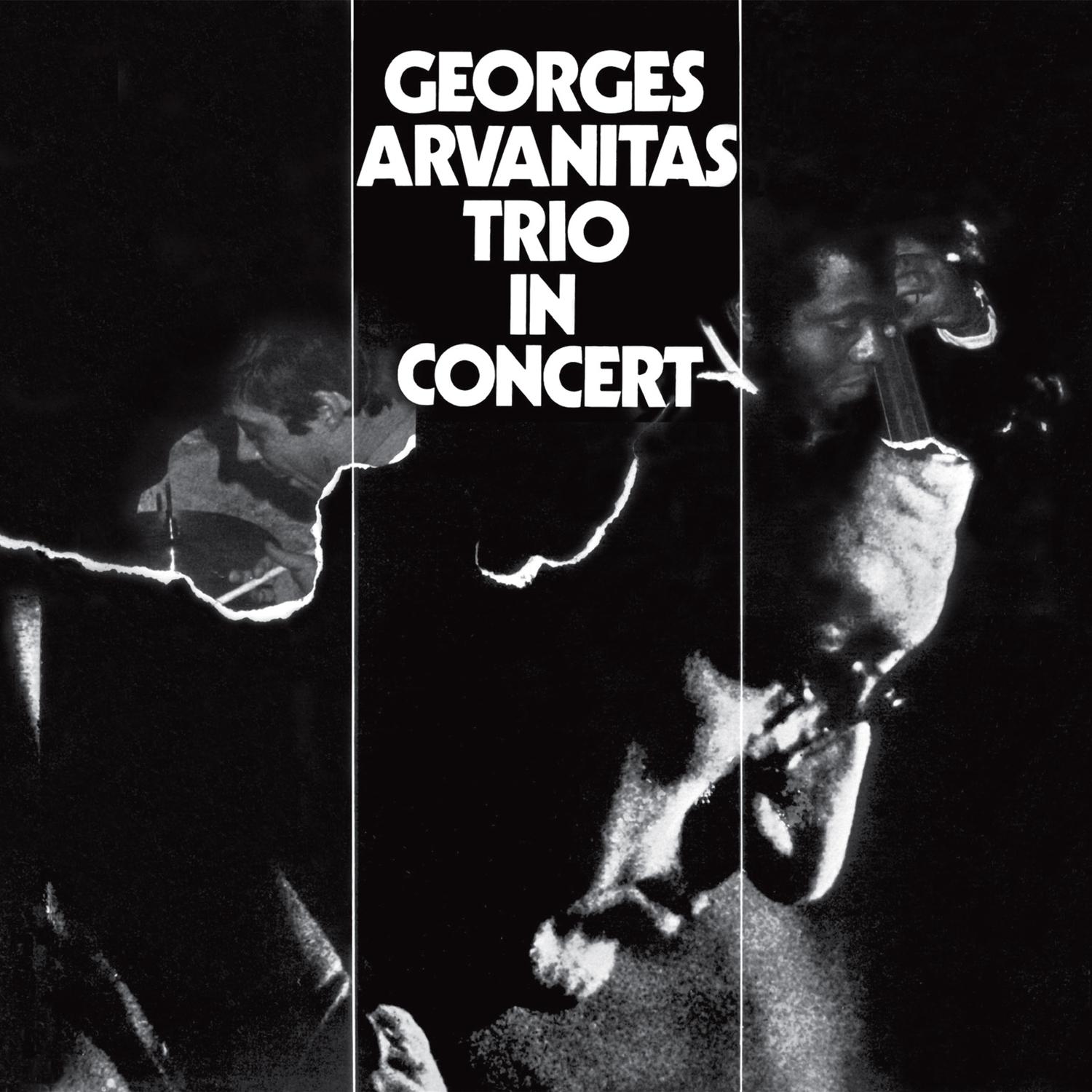 Colchique dans les pre s Live