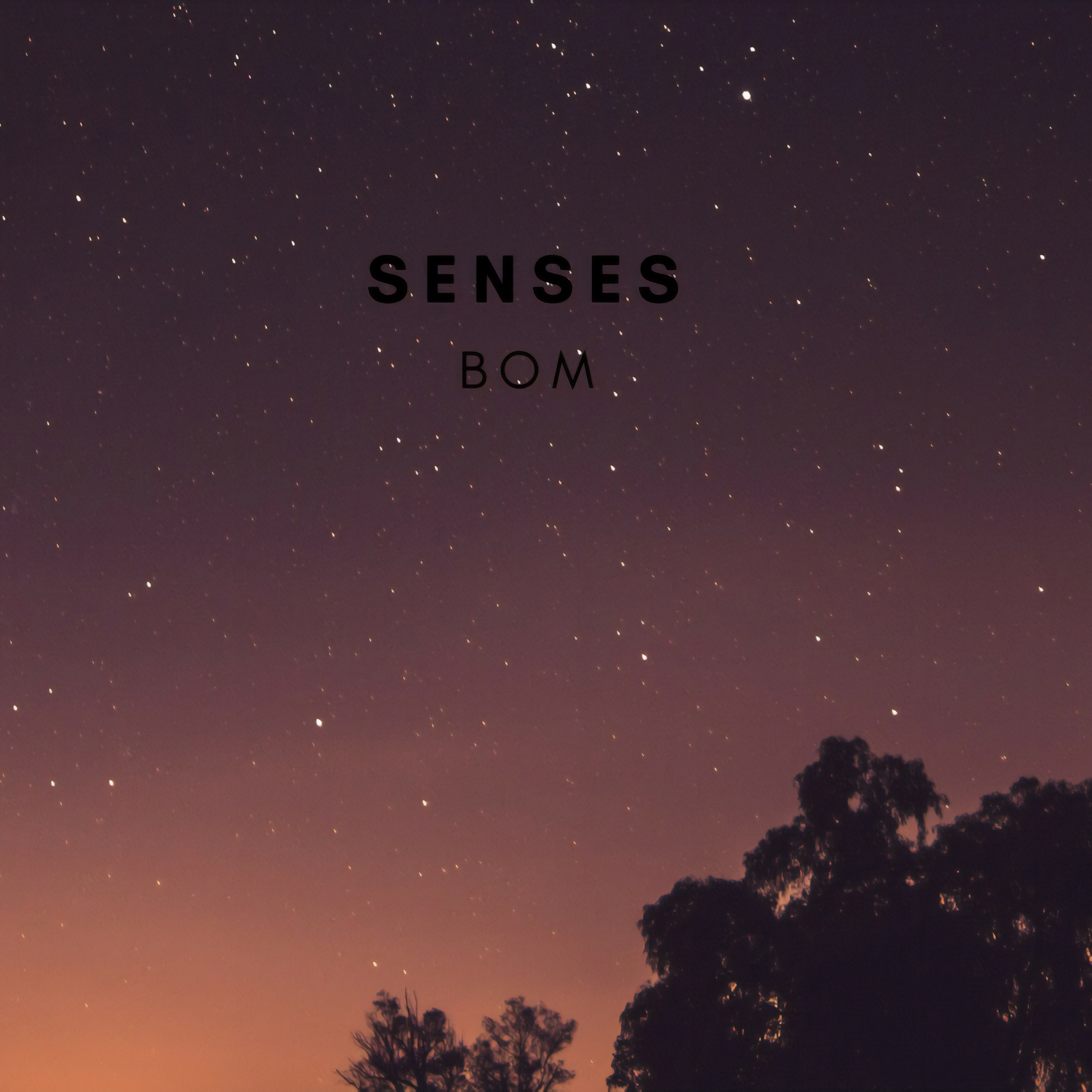 Senses