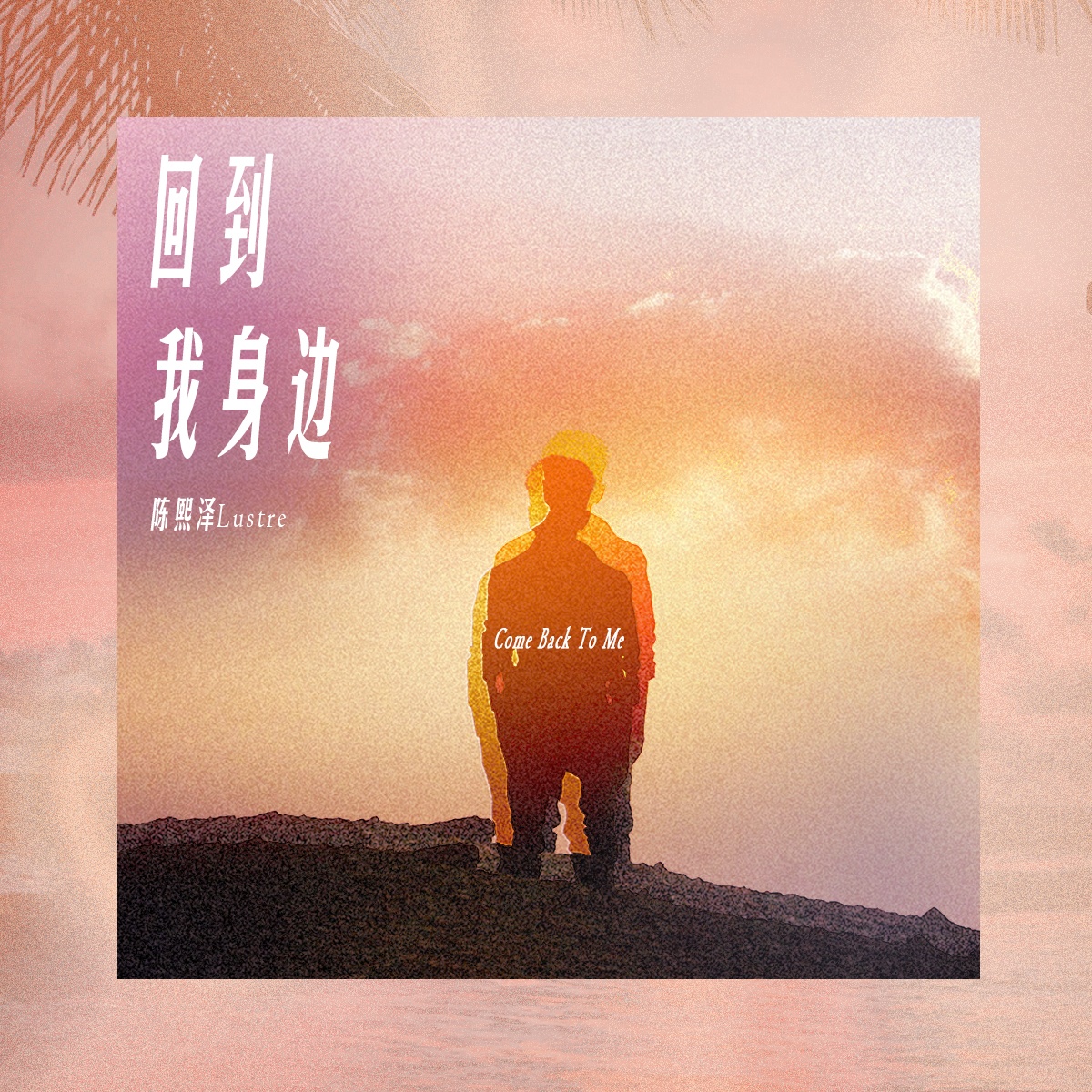 hui dao wo shen bian