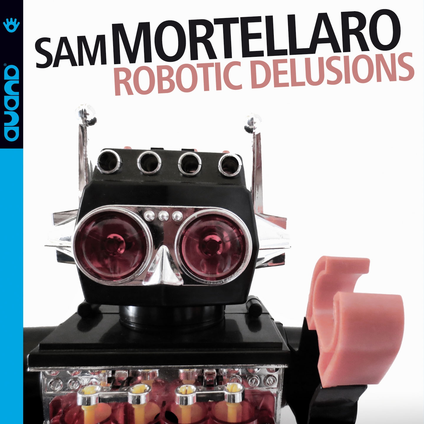 Robotic Delusions