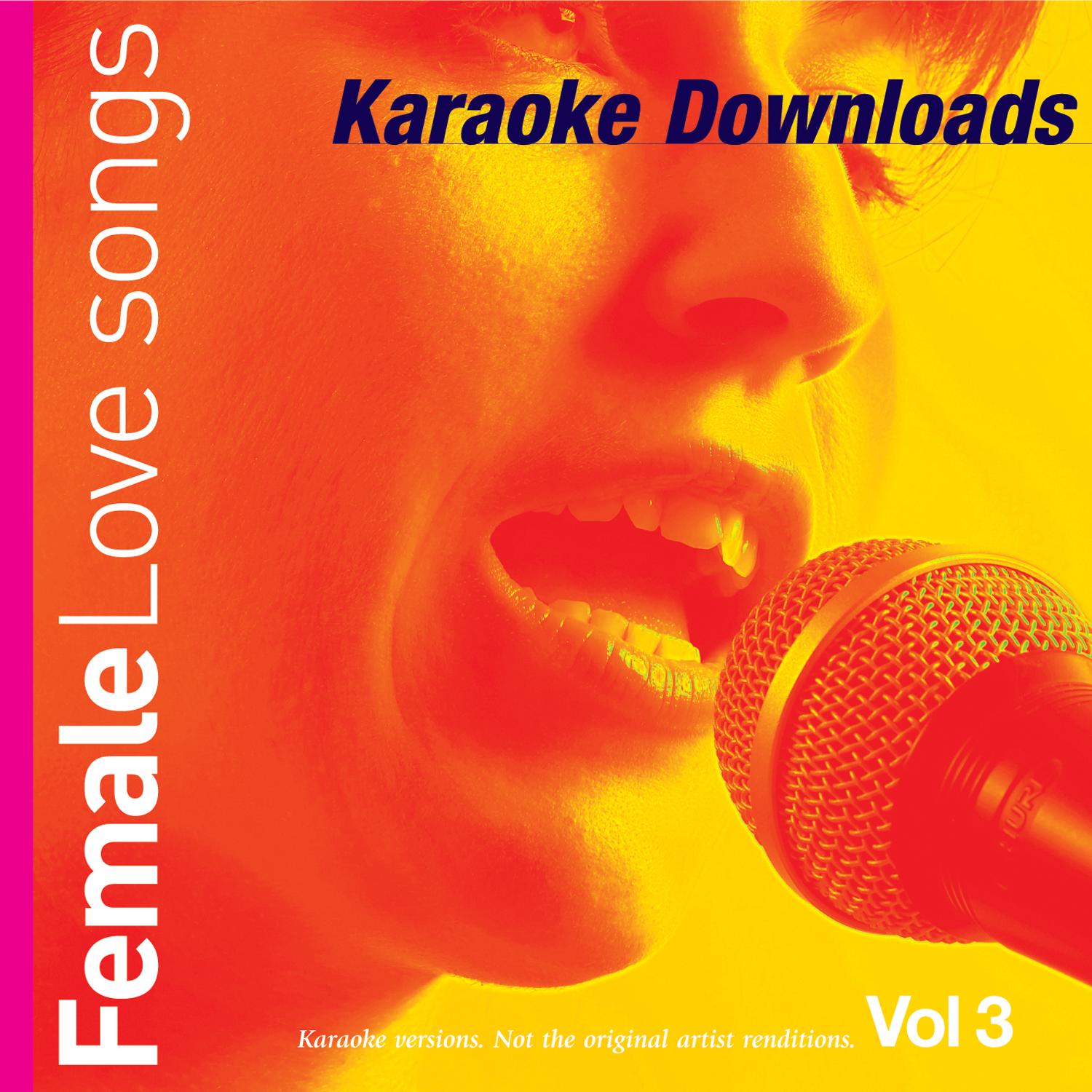 Karaoke Downloads - Female Love Songs Vol.3