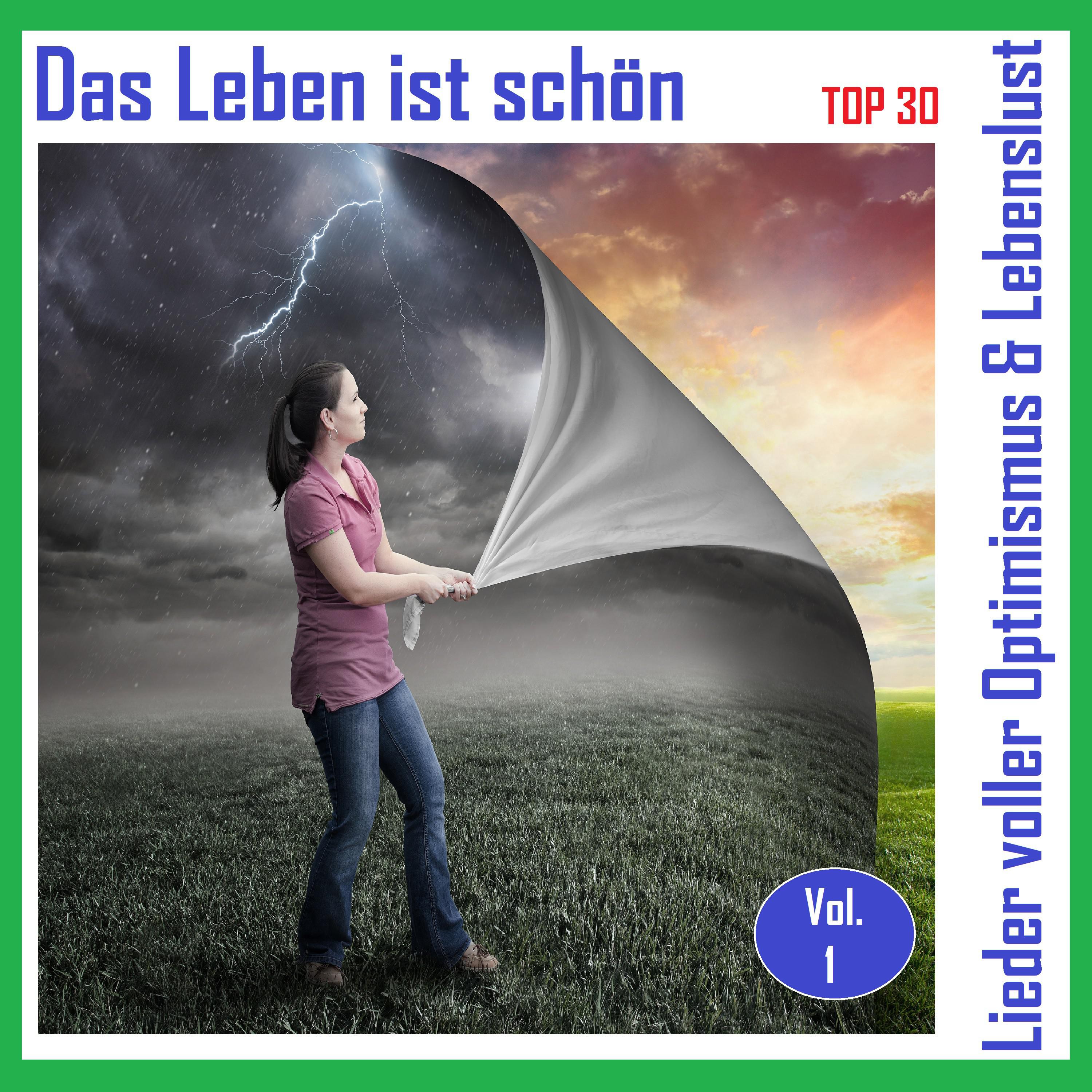 Top 30: Das Leben ist sch n  Lieder voller Optimismus  Lebenslust, Vol. 1