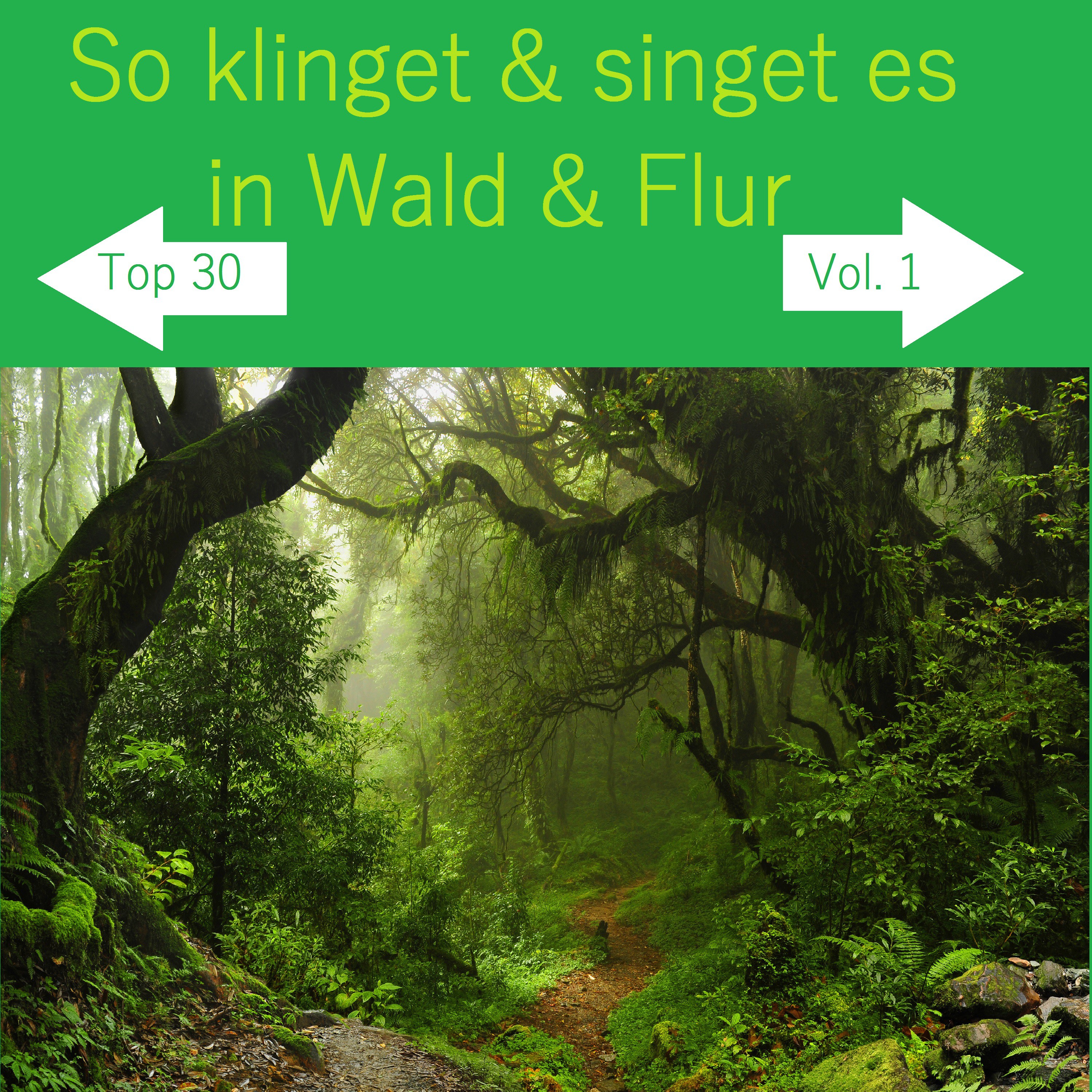 Alle W lder schweigen