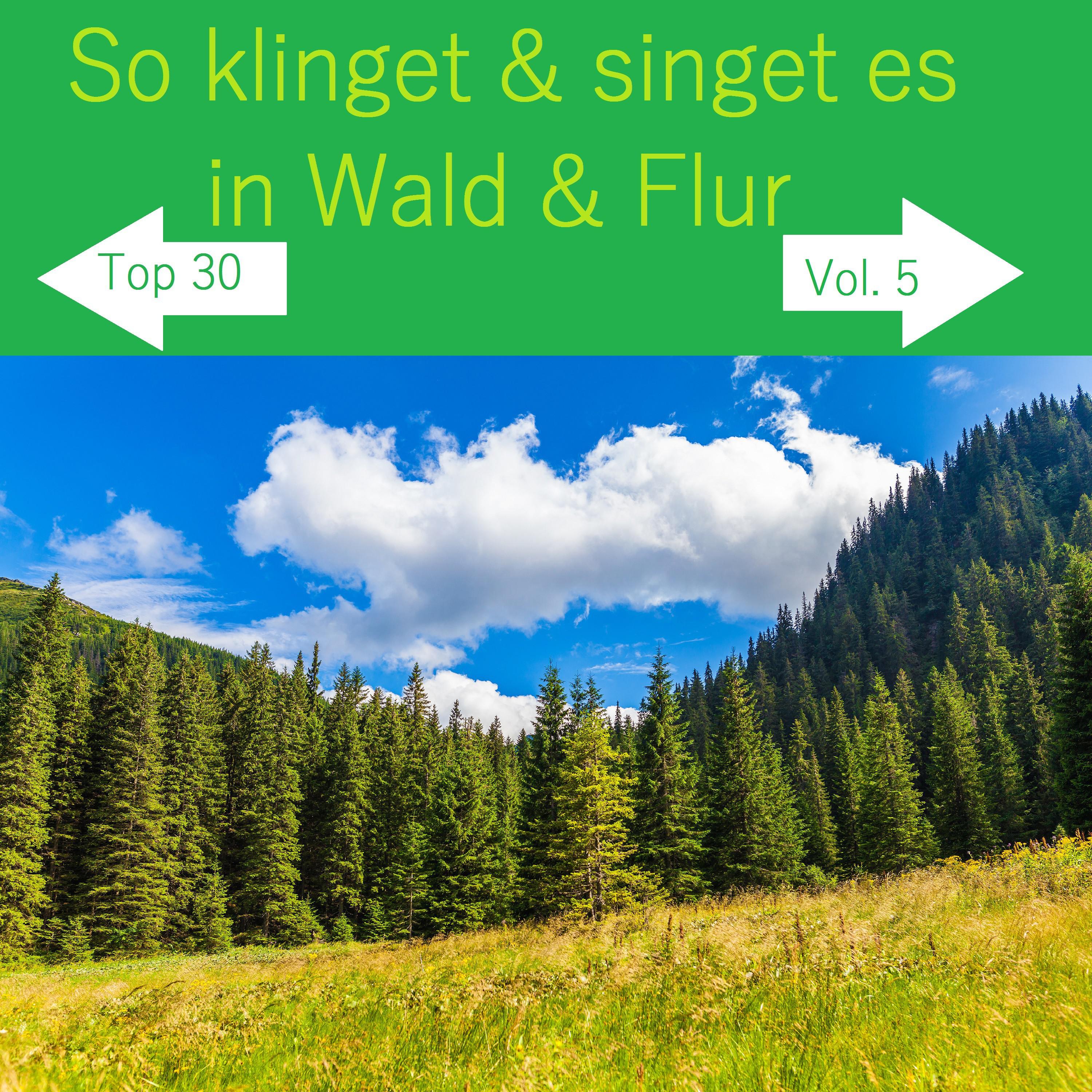 Und ewig singen die W lder