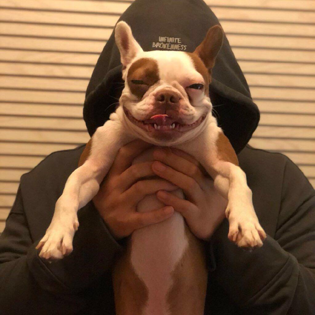 Jack Grelle & The Johnson Family