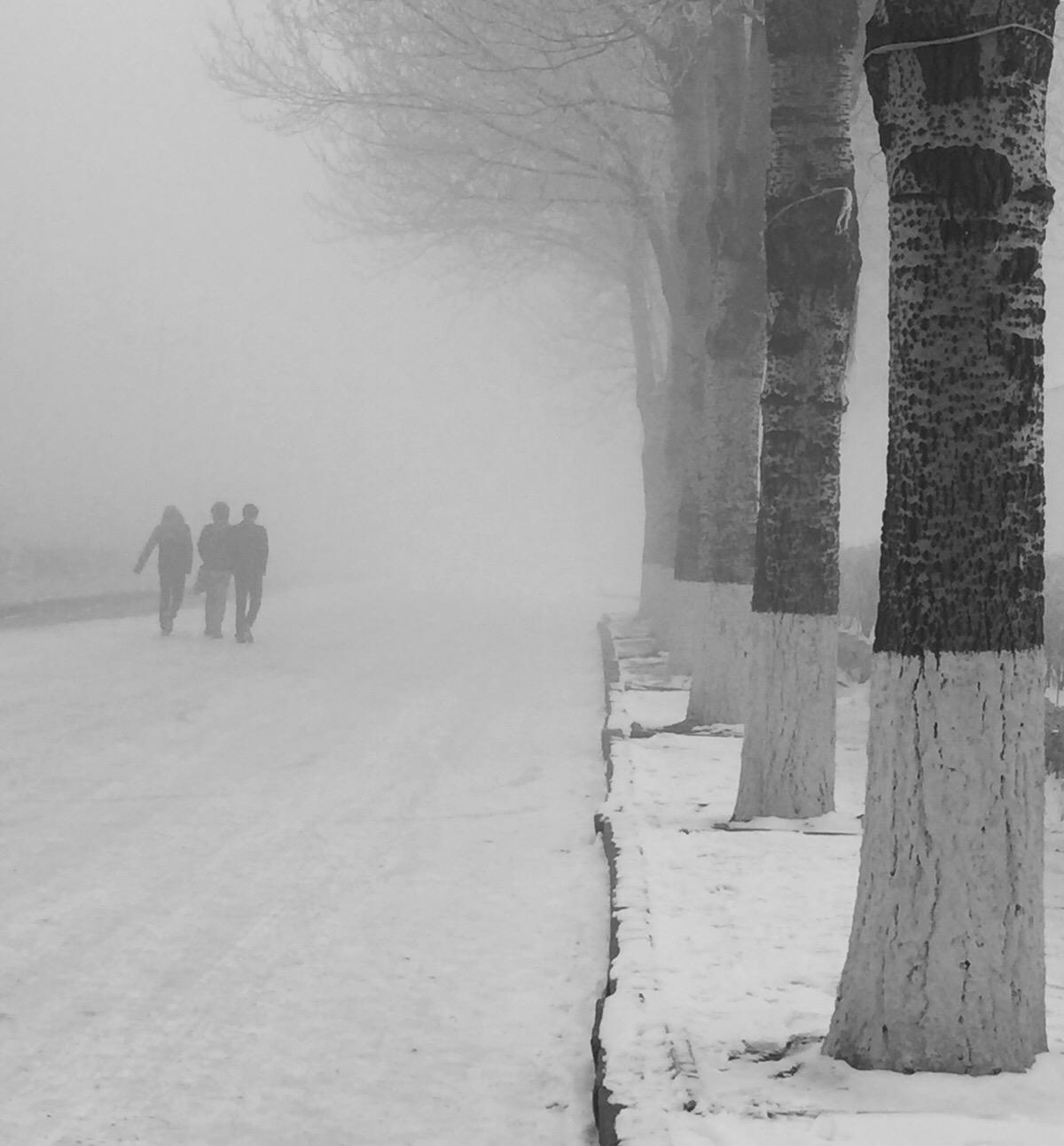 yi ge ge shou de qing shu fan zi zhou san