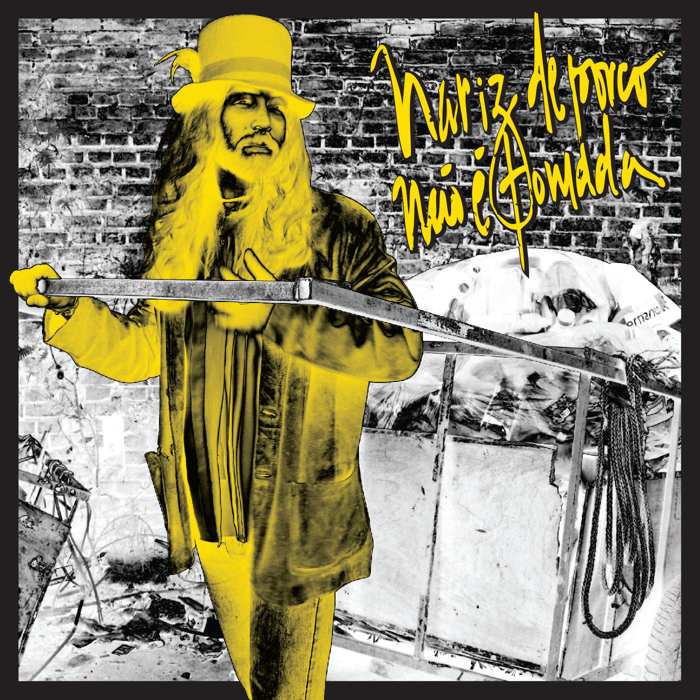 The Bronx Diva Chronicles