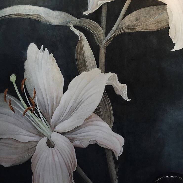 qing li men hu Freestyle