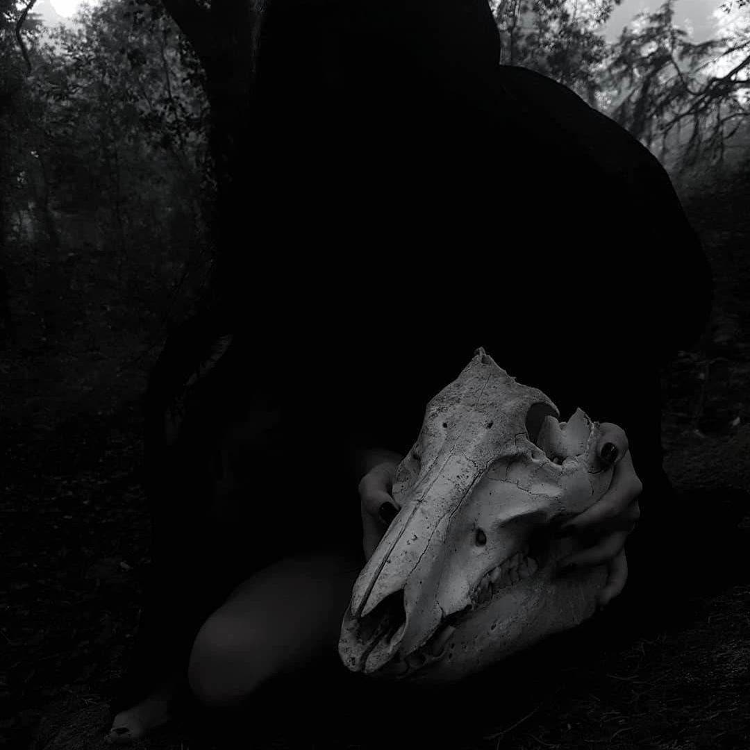 yi yu zheng huan zhe