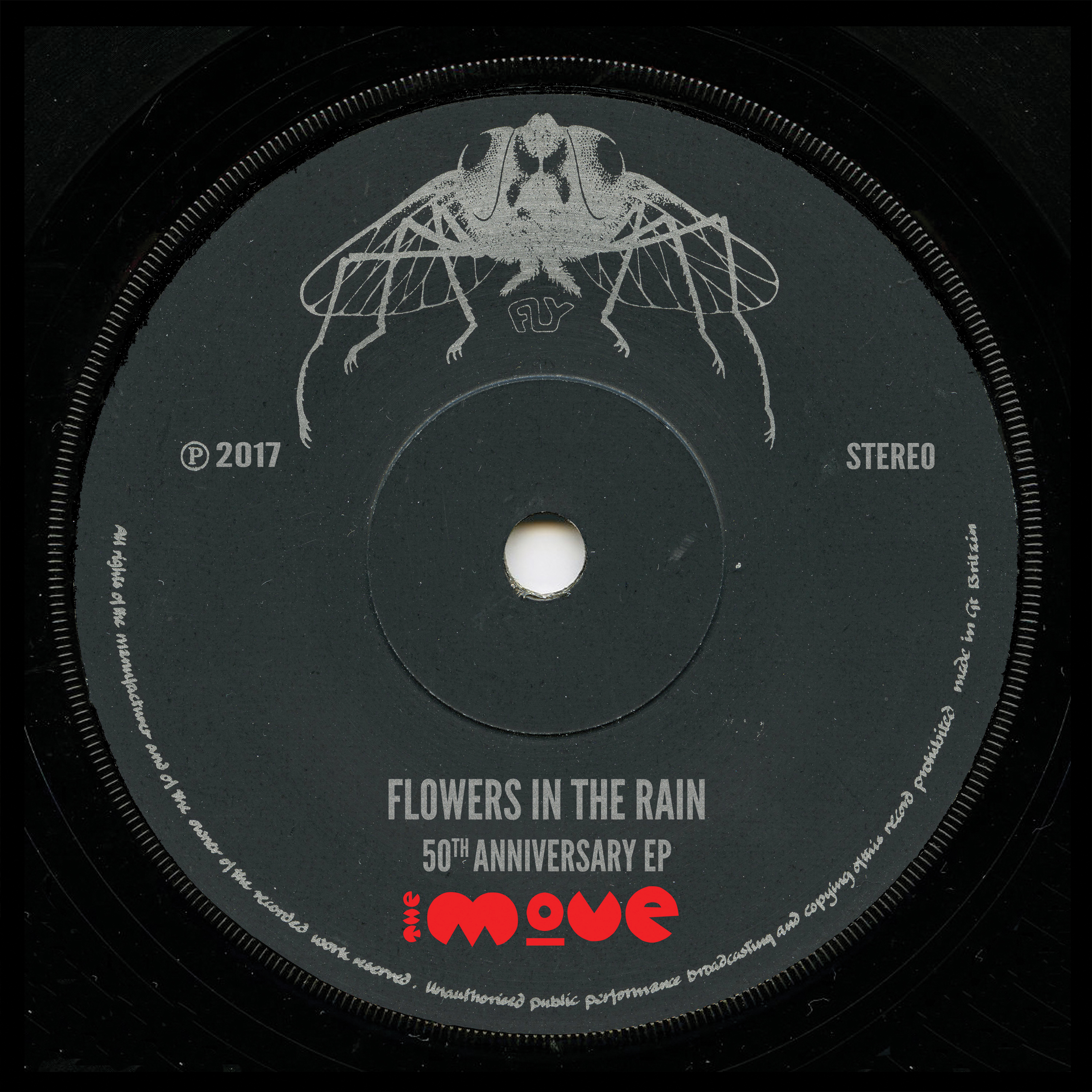 Flowers in the Rain [Acoustic]