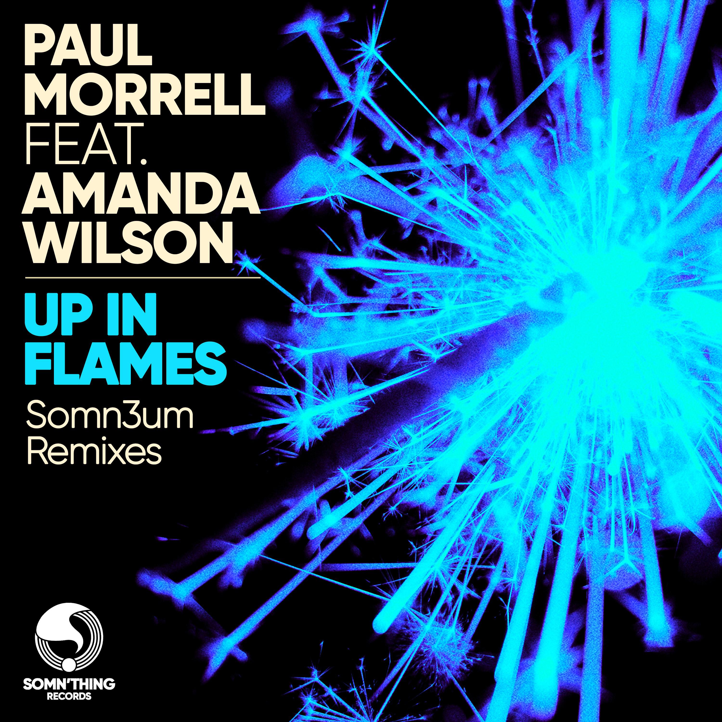 Up In Flames (feat. Amanda Wilson) [Somn3um Remixes]