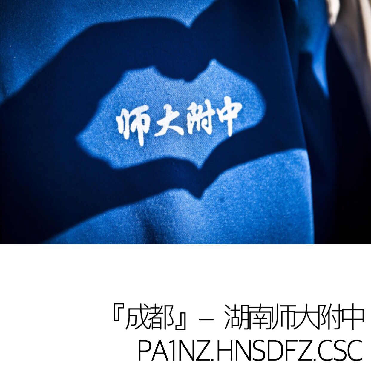 cheng du hu nan shi da fu zhong ban Cover: zhao lei