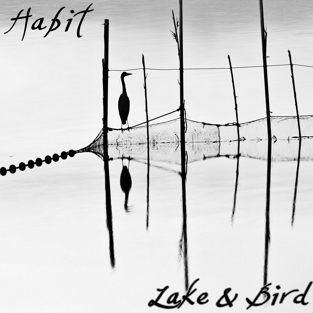Lake & Bird