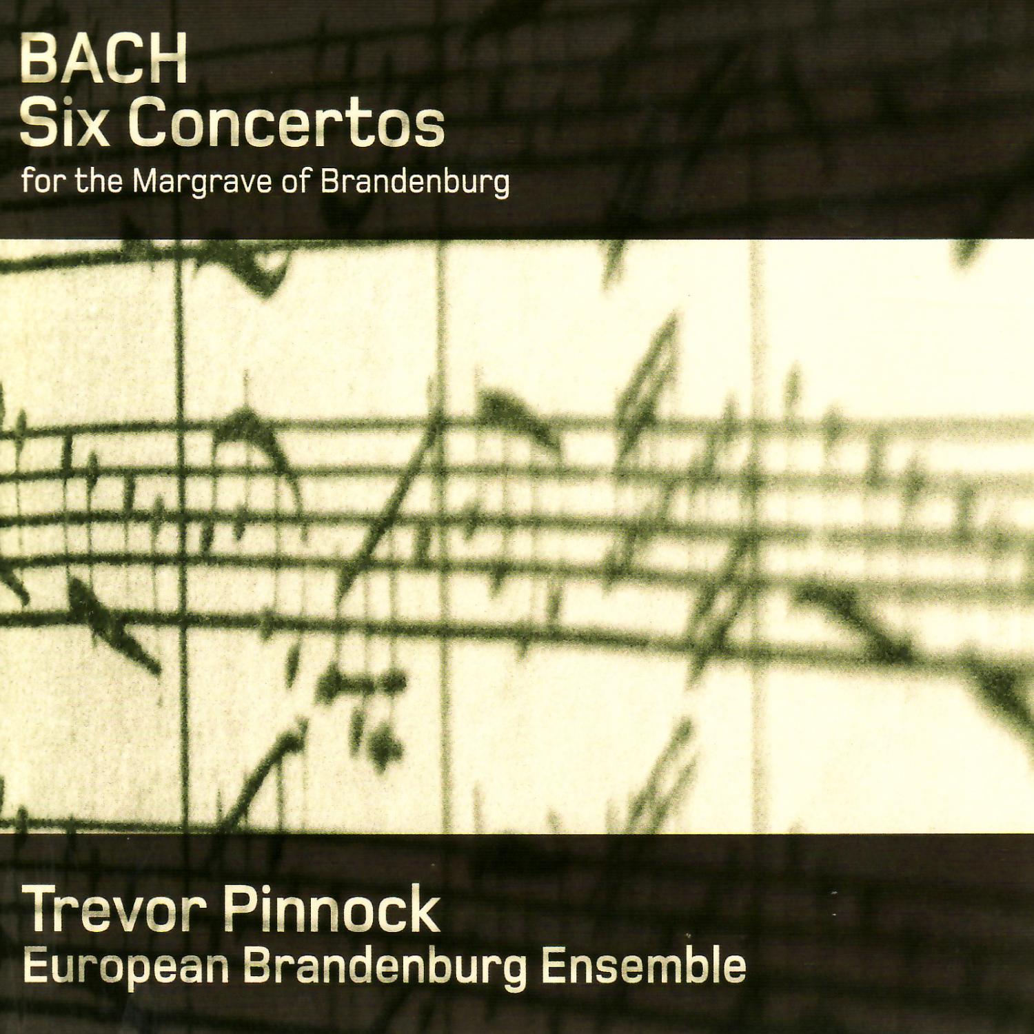 Brandenburg Concerto No. 6 in B-Flat Major, BWV 1051: II. Adagio ma non troppo