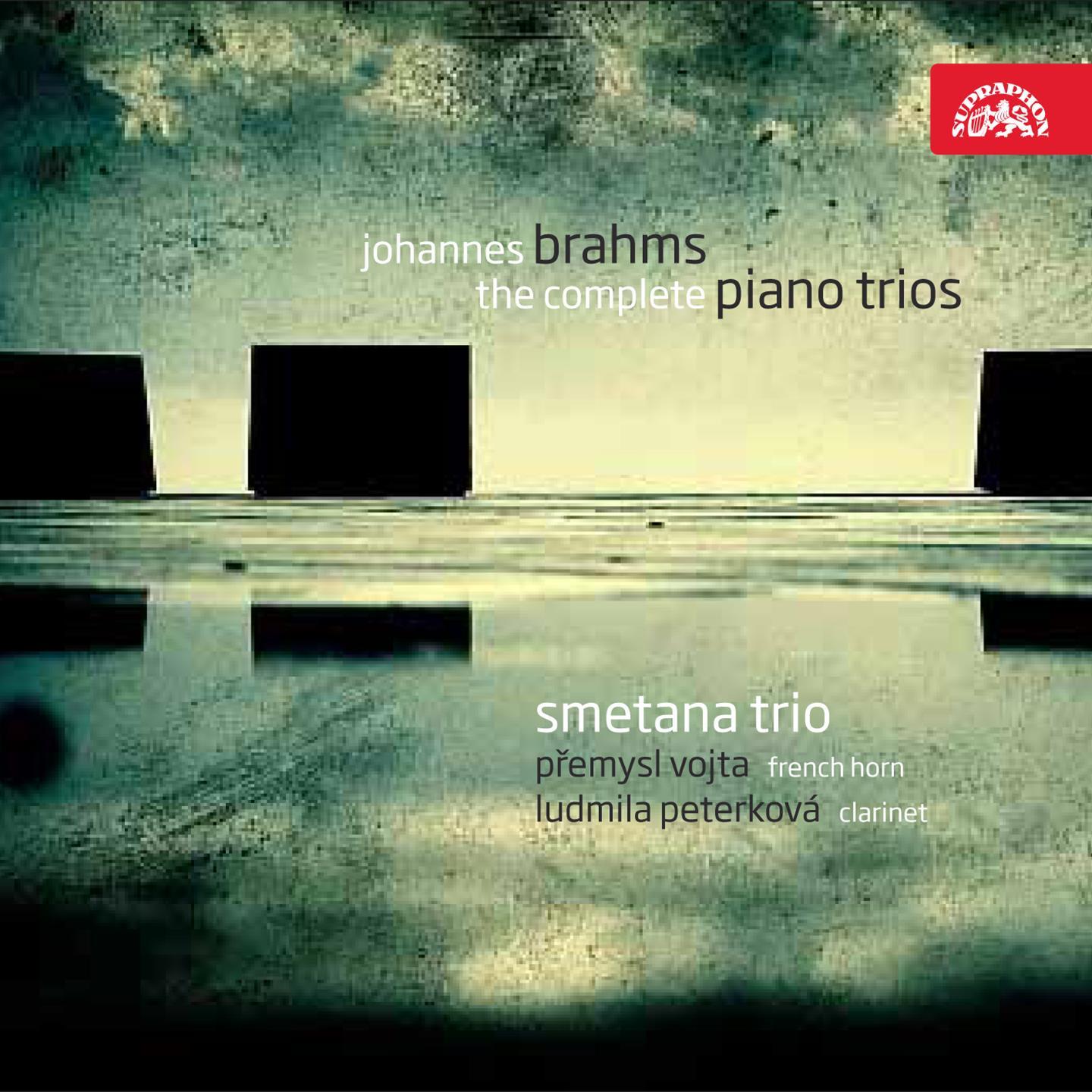 Piano Trio No. 3 in C Minor, Op. 101: III. Andante grazioso