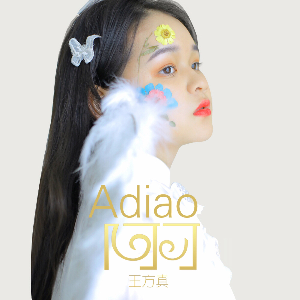 a diao Cover: zhao lei