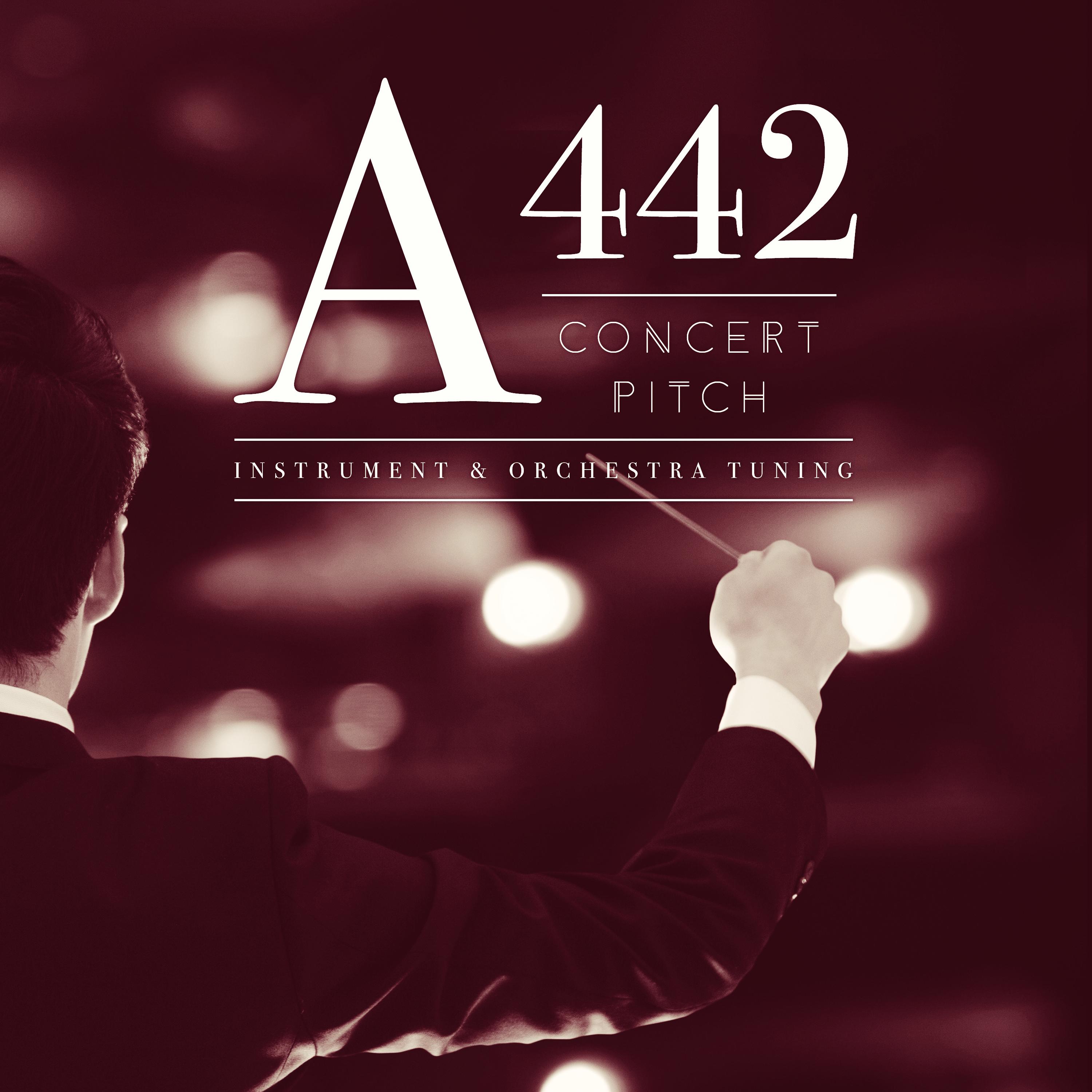 A442 Concert Pitch: Instrument & Orchestra Tuning