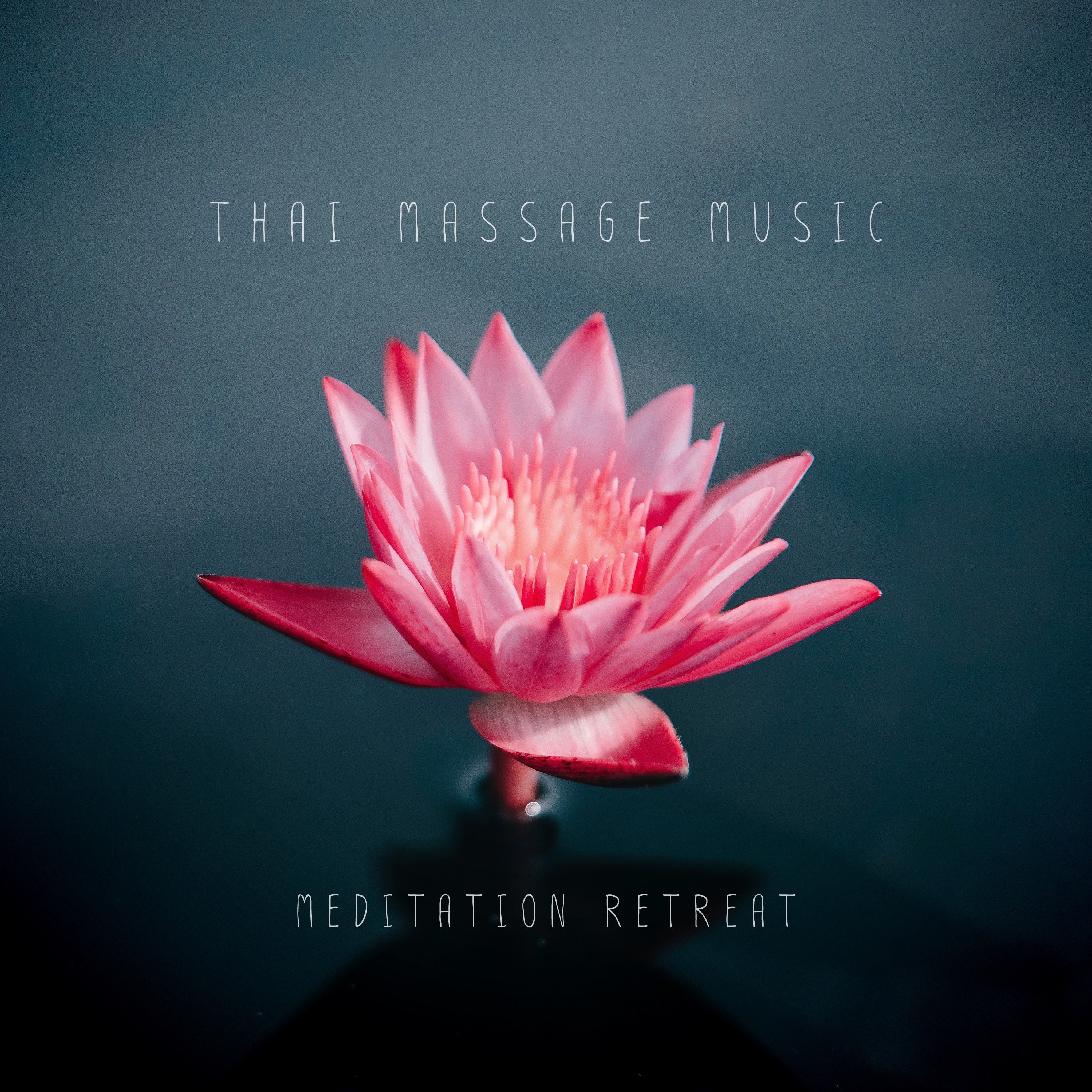 Footsteps Through Siam