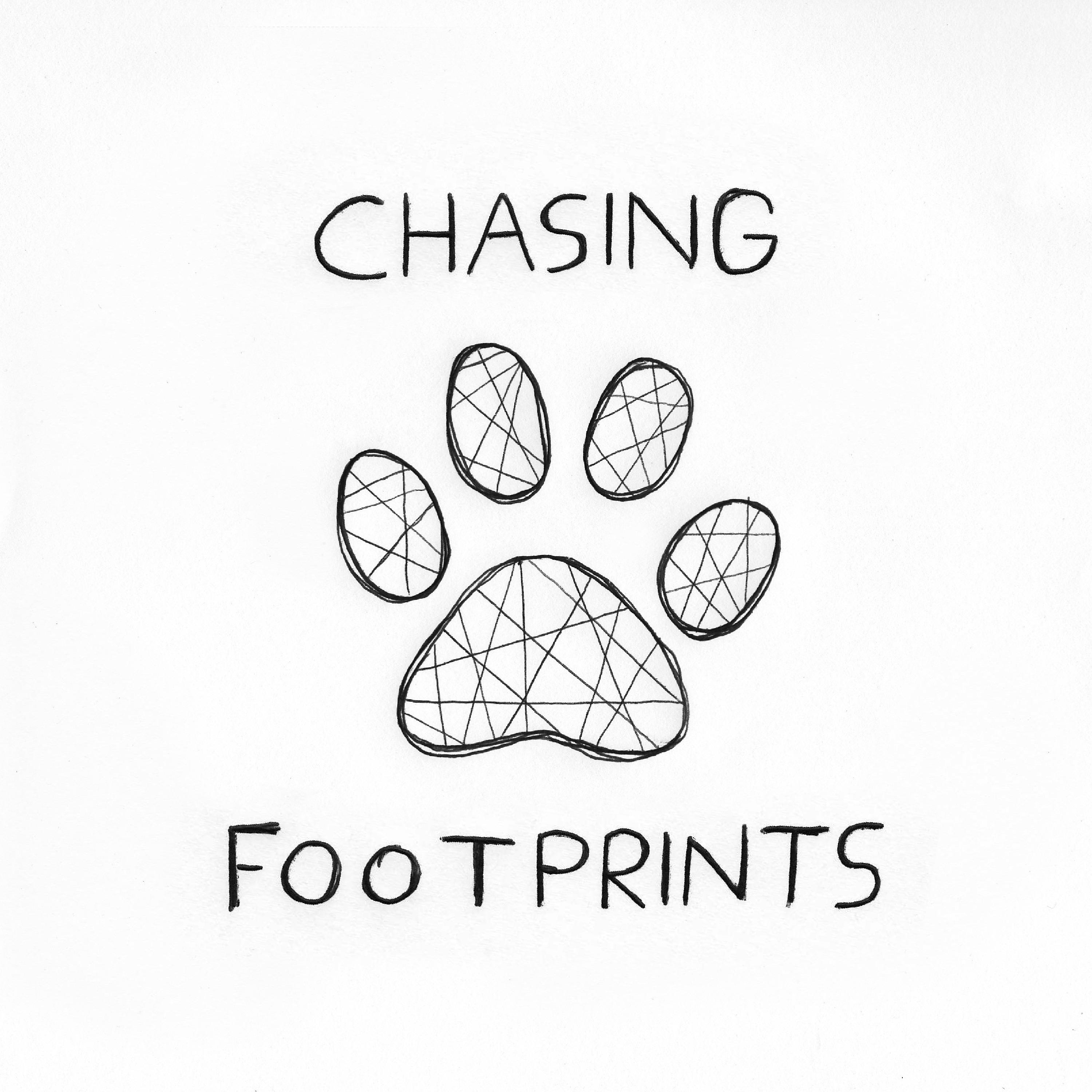 Chasing Footprints