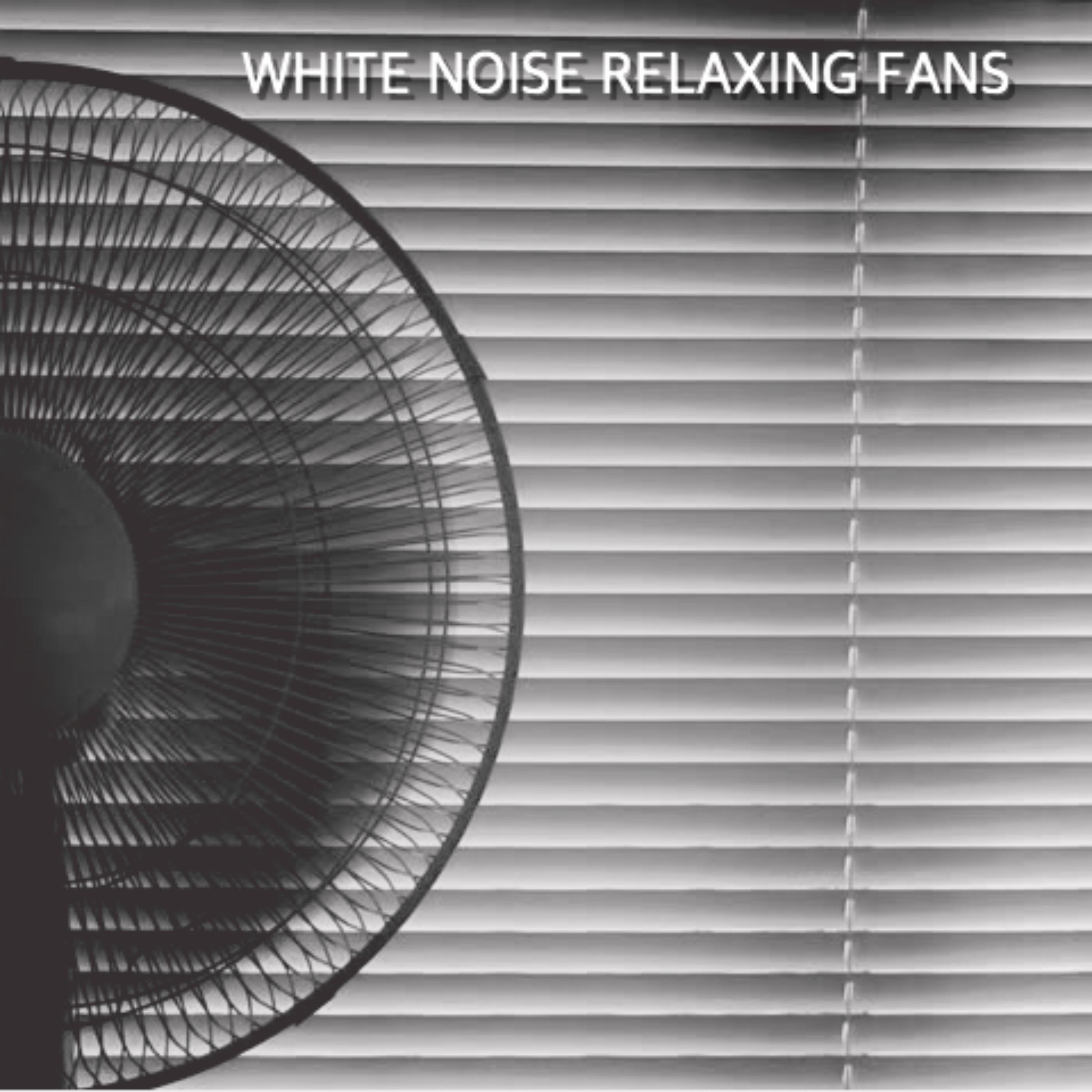 White Noise Relaxing Fans