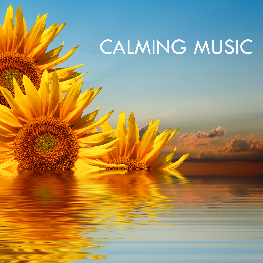 Scarborough Fair - Calming Relaxing Music
