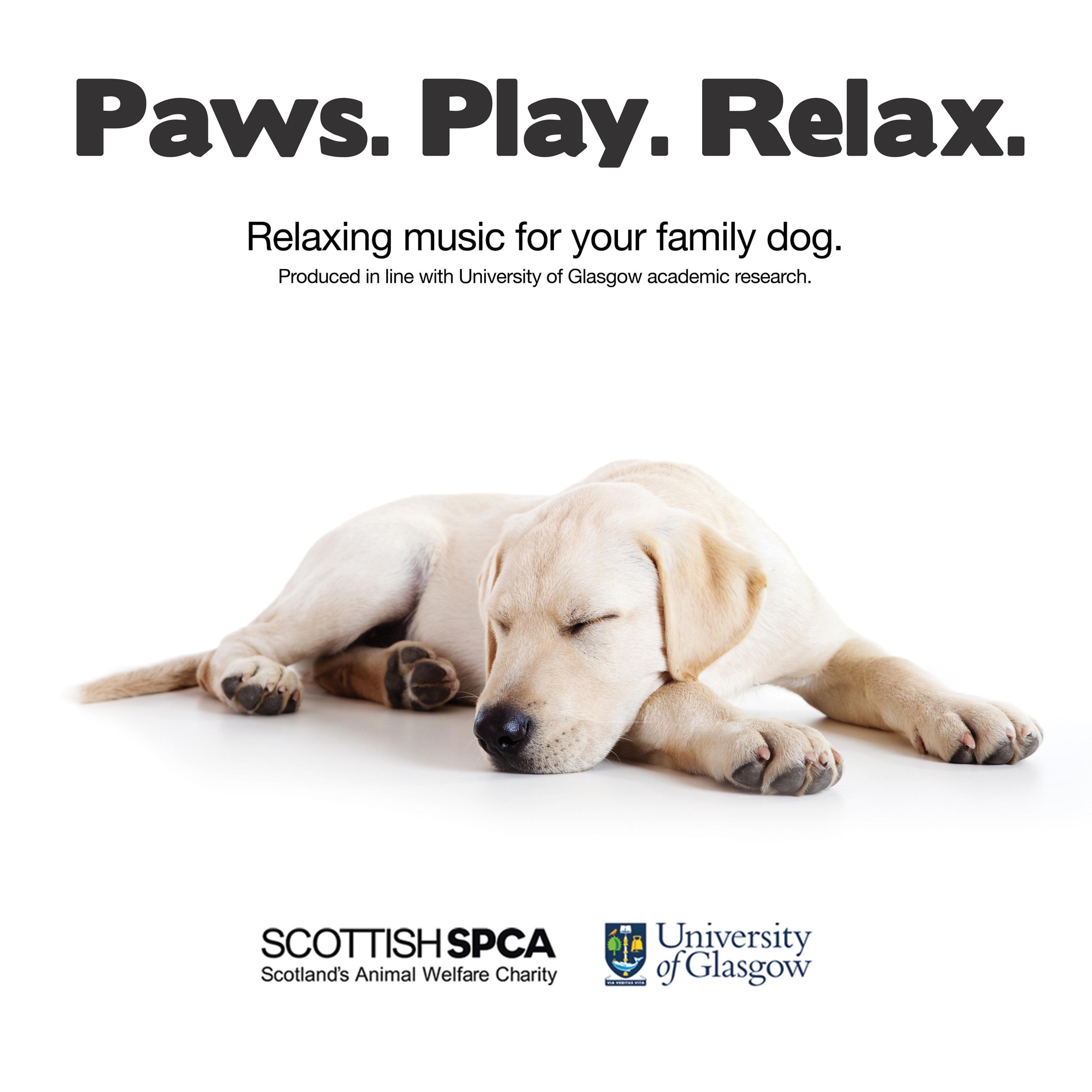 I Want You to Be Mine