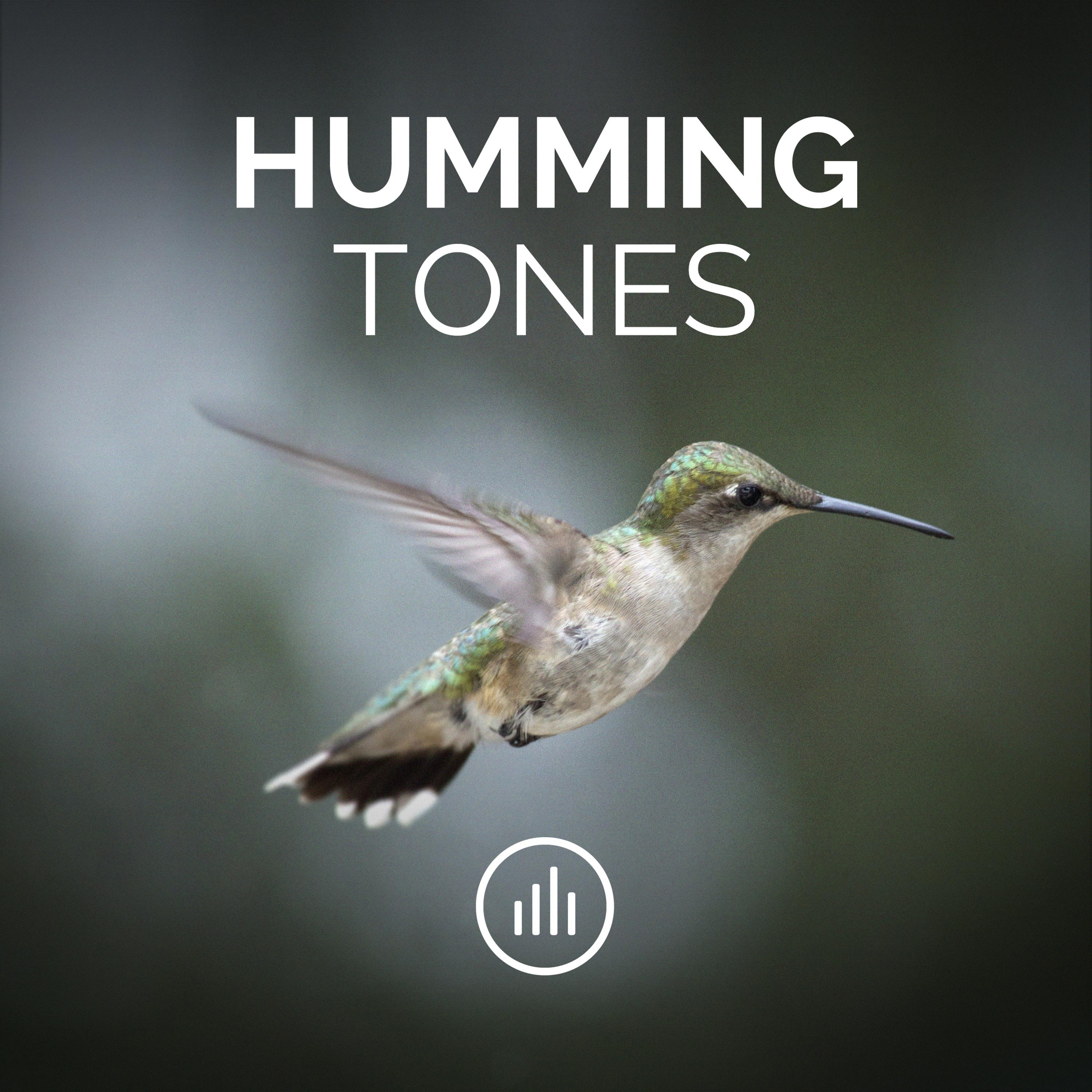 Humming Drone Tone in G