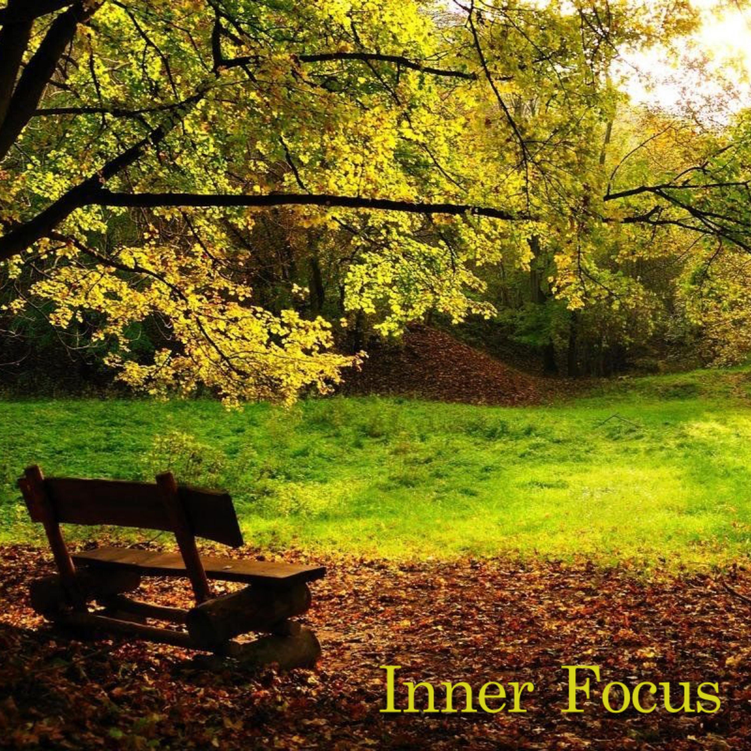 Inner Focus