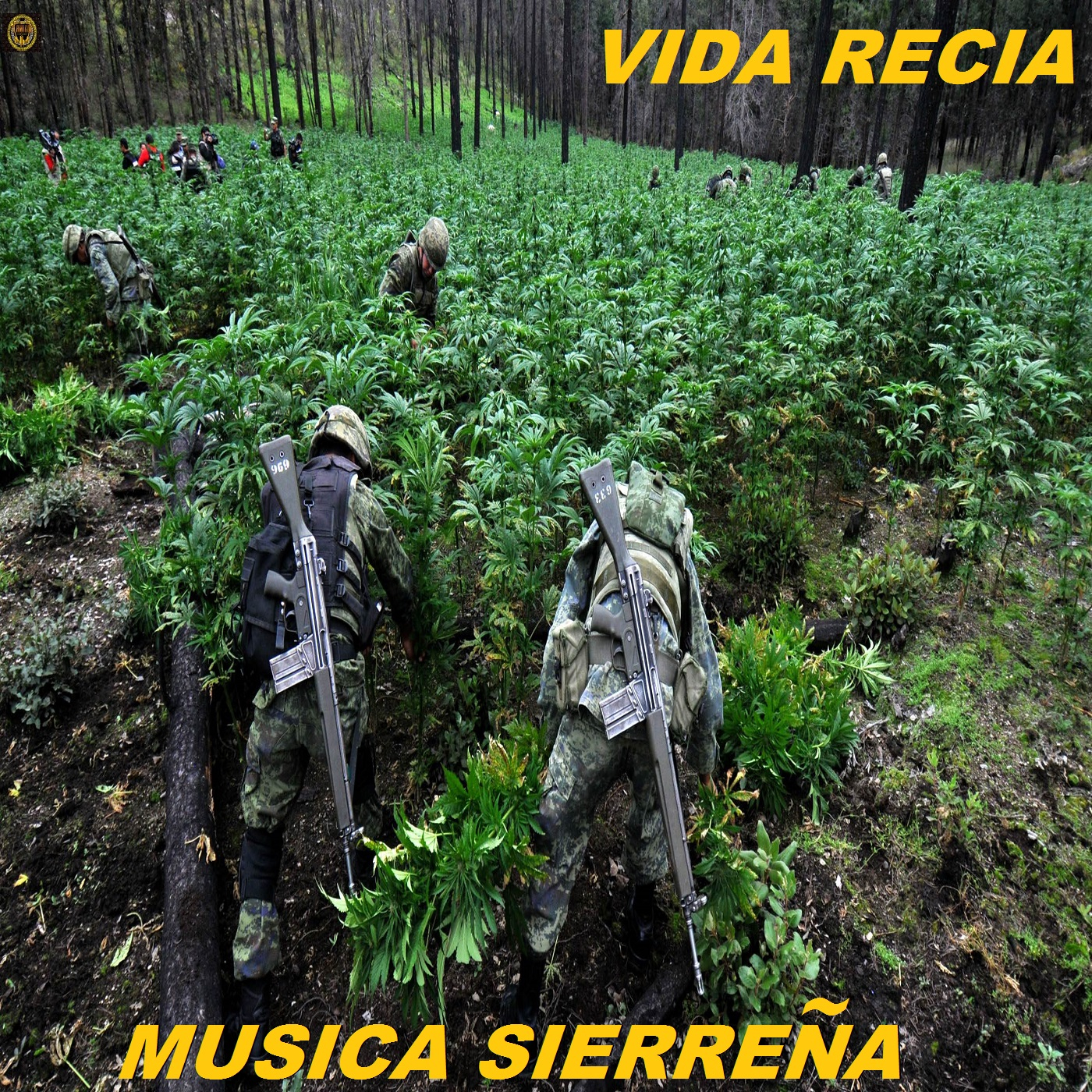 Vida Recia - Desengano S.