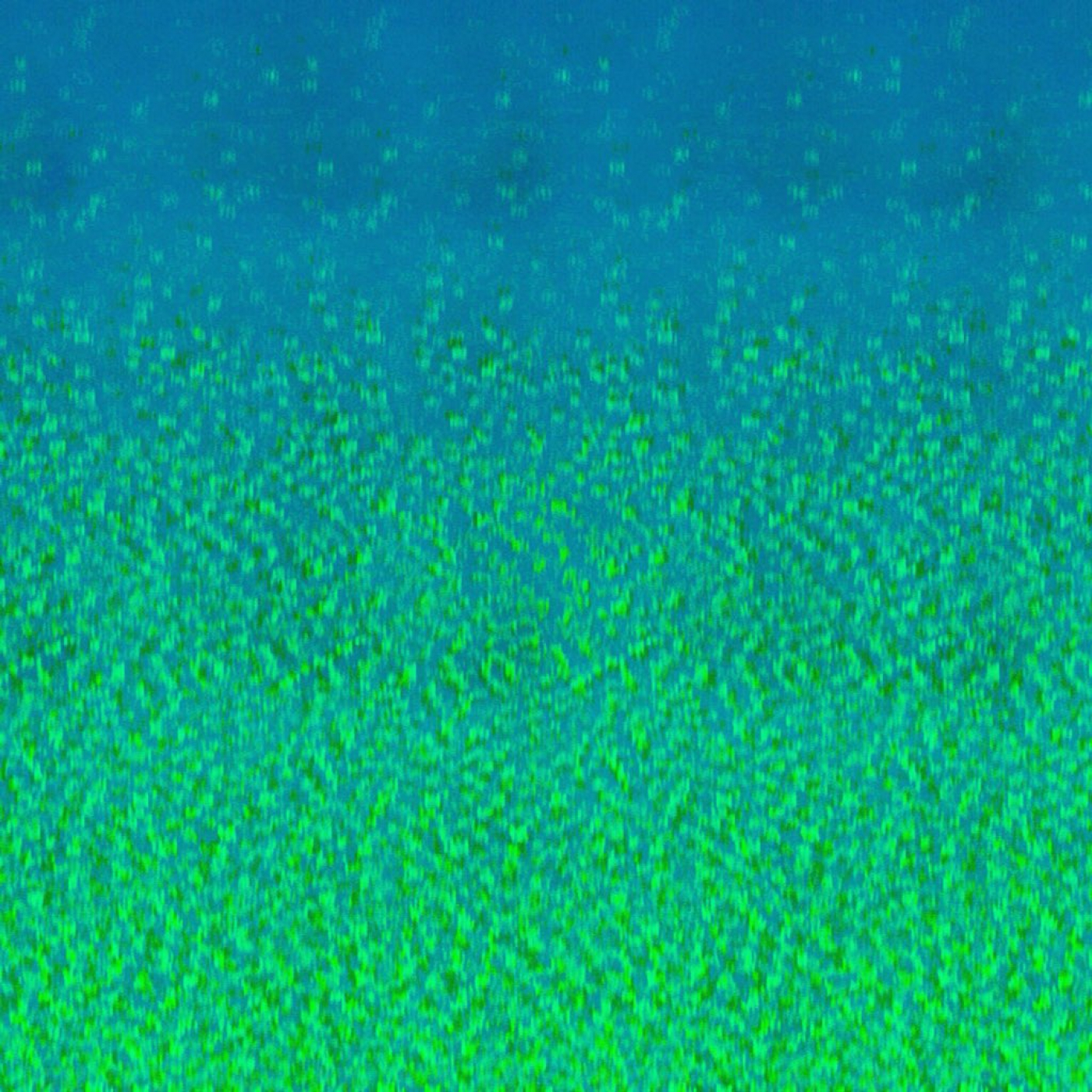 I'm Lost In This Forest, and My Thoughts