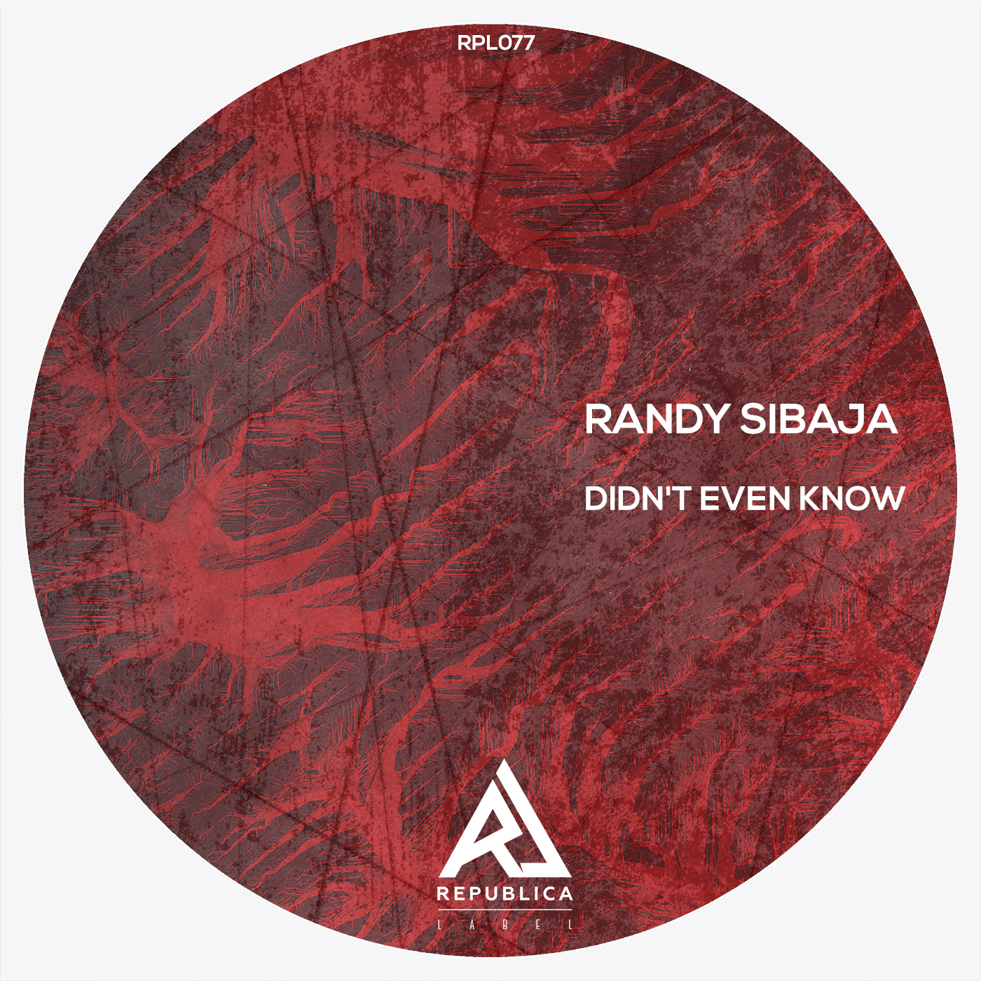 Didn t Even Know Original Mix