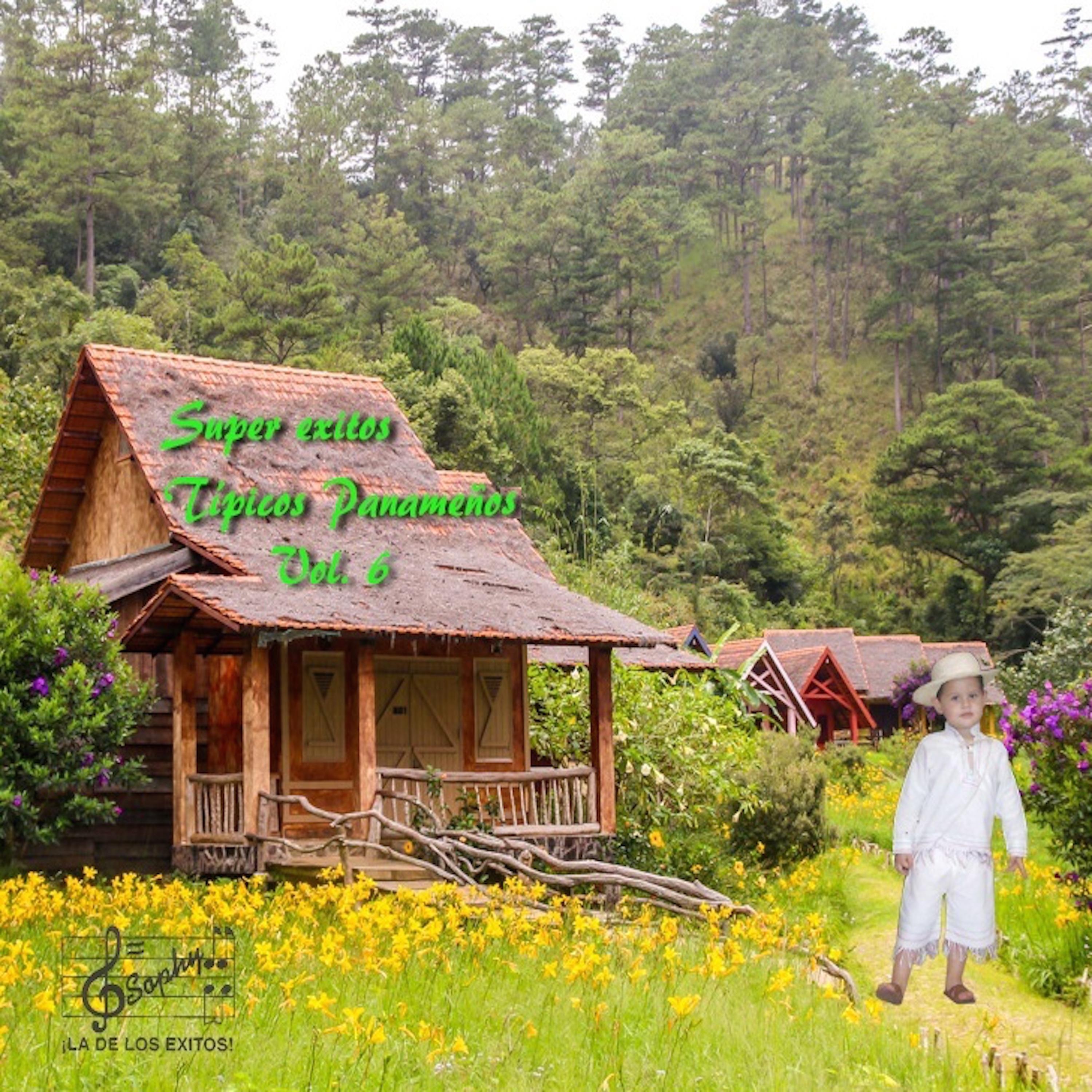 Super e xitos ti picos paname os, Vol. 6